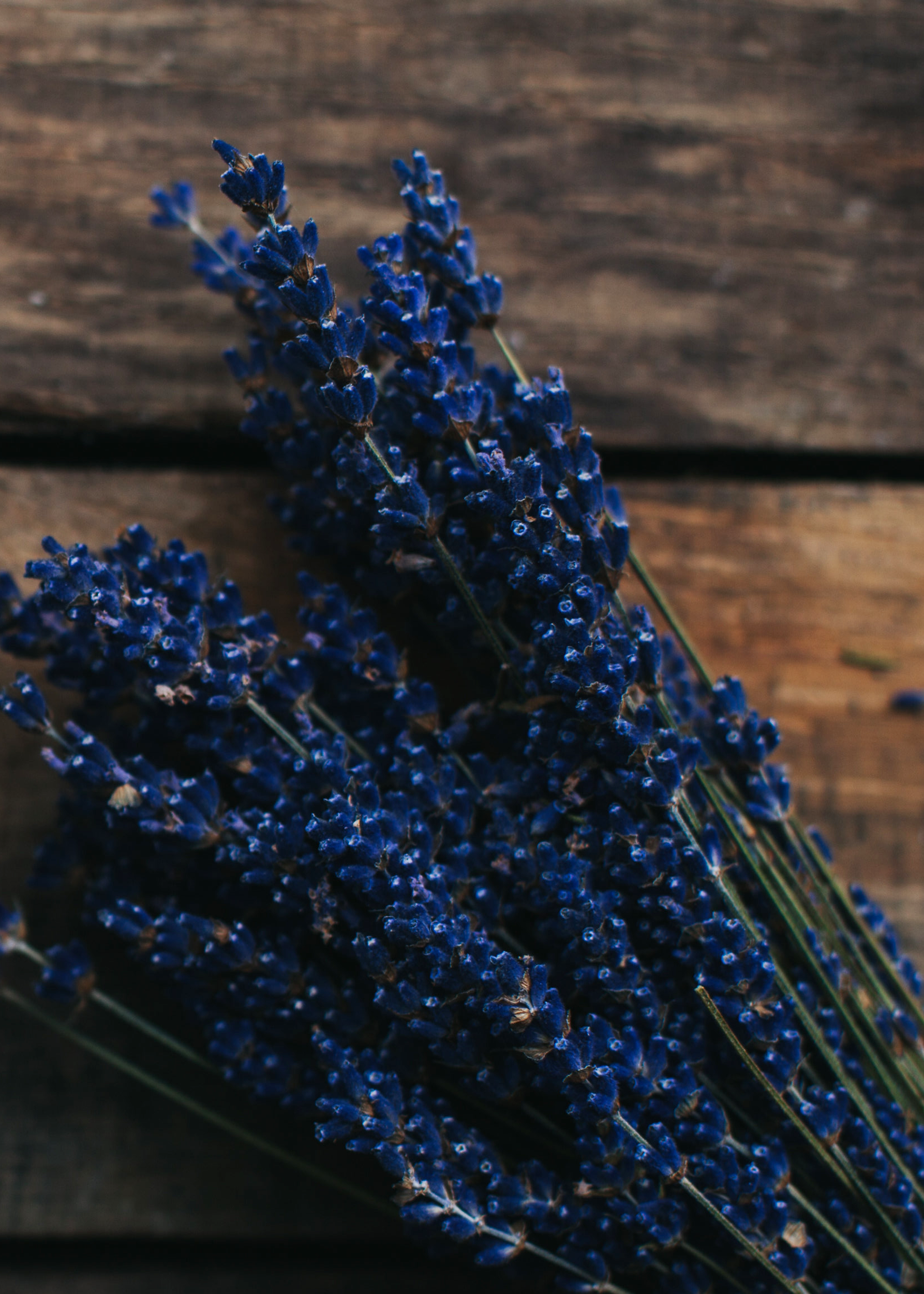 Lavender_Bundle2.png