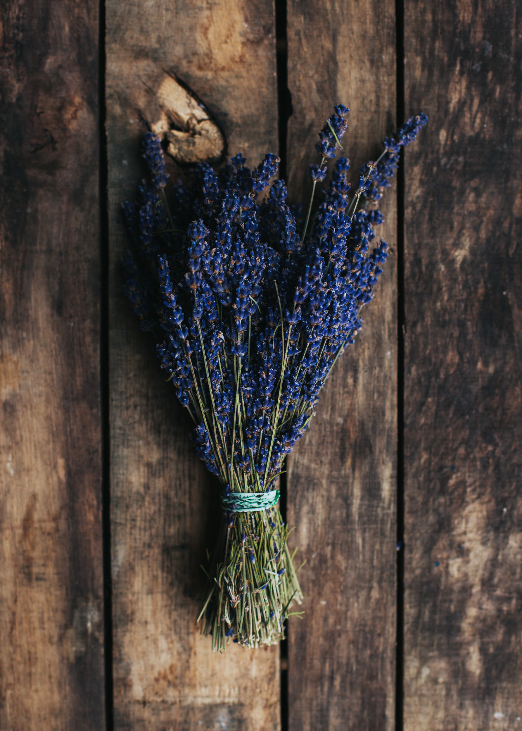 Lavender_Bundle.png