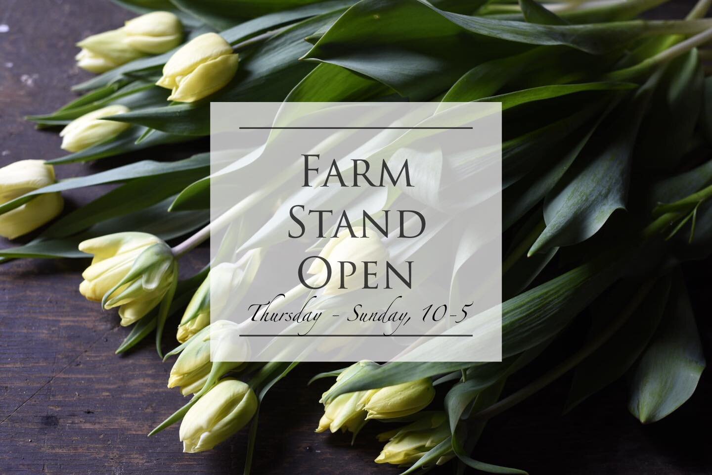 Our farmstand hours are changing. Open four days a week starting Thursday. 

Thursday - Sunday, 10am-5pm. 

Cash or e-transfer. Instructions are posted in the stand. Please help yourself, thank you.

This week&rsquo;s lineup :
Tulip bunches (lots of 