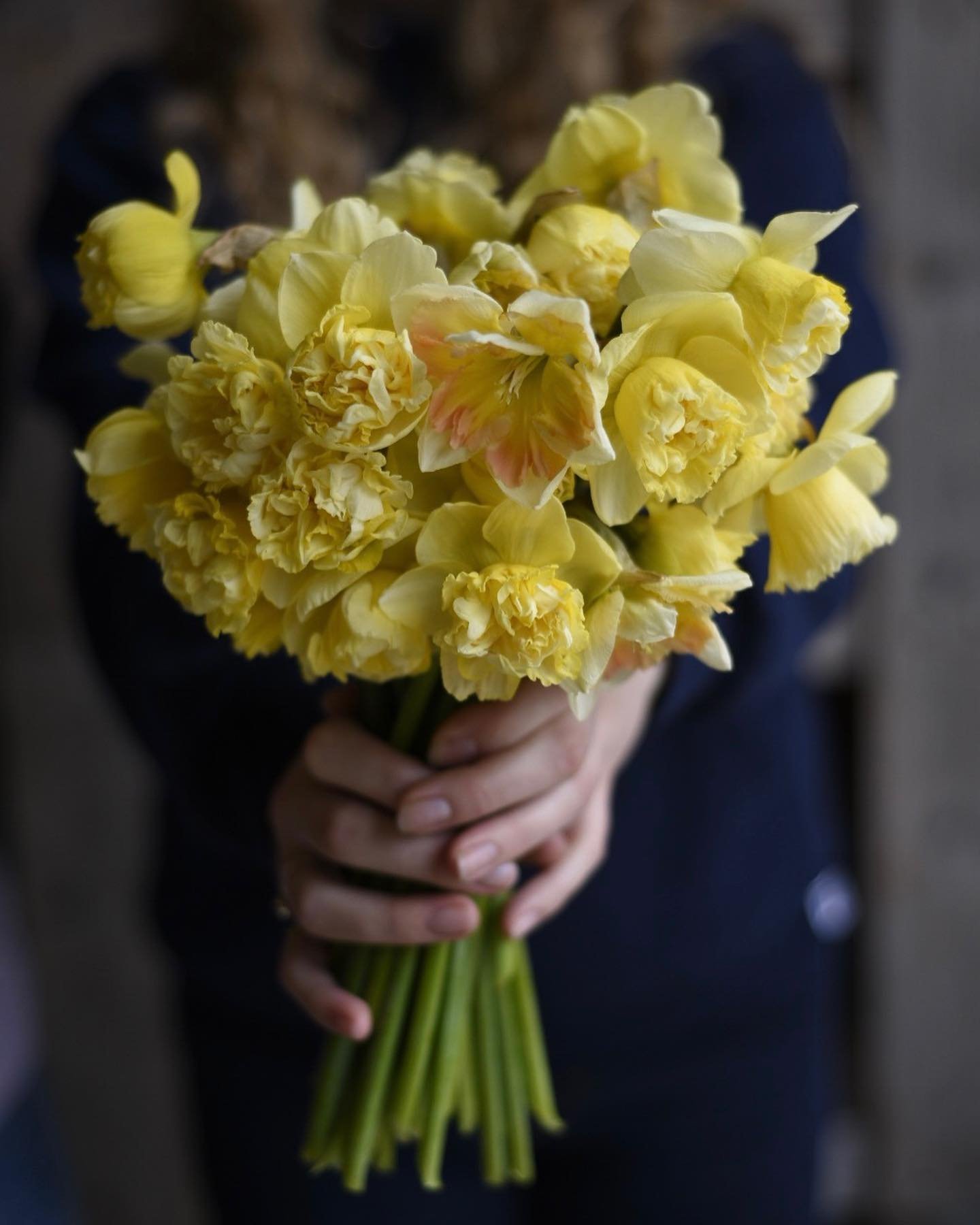 Today, our team had a bountiful spring harvest for the Saturday farmers market! 

We&rsquo;ve gathered a beautiful array of fancy narcissus and tulips, alongside an abundance of fresh produce: rhubarb, spinach, arugula, bok choy, baby kale, radishes,