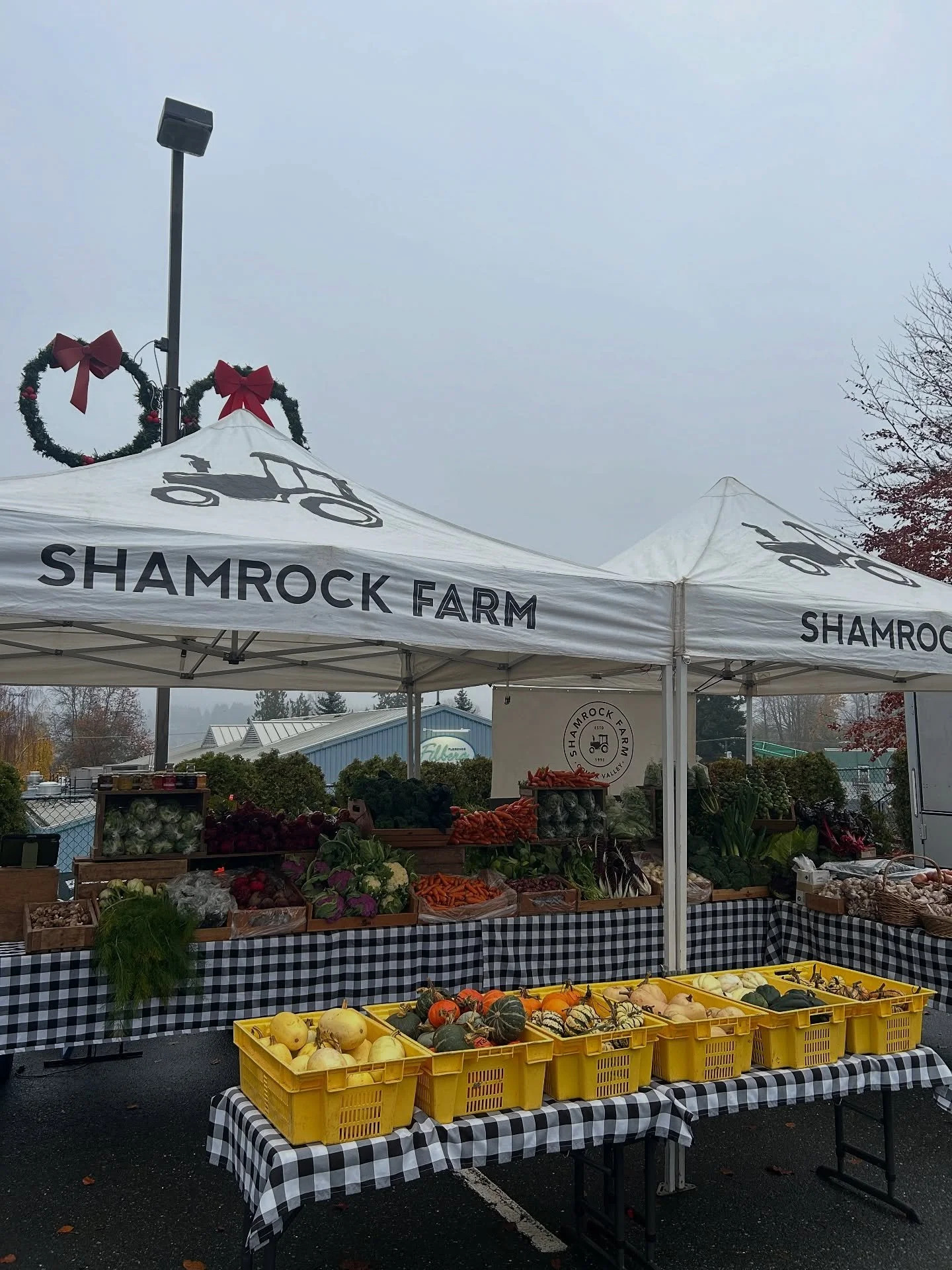 Farmers Market Day @comox_valley_farmers_market 

We are outside in the parking lot beside @alderlane_farmhouse_bakery. Erin and Amber will be here from 9-1. Come say hi. 

#comoxvalley #