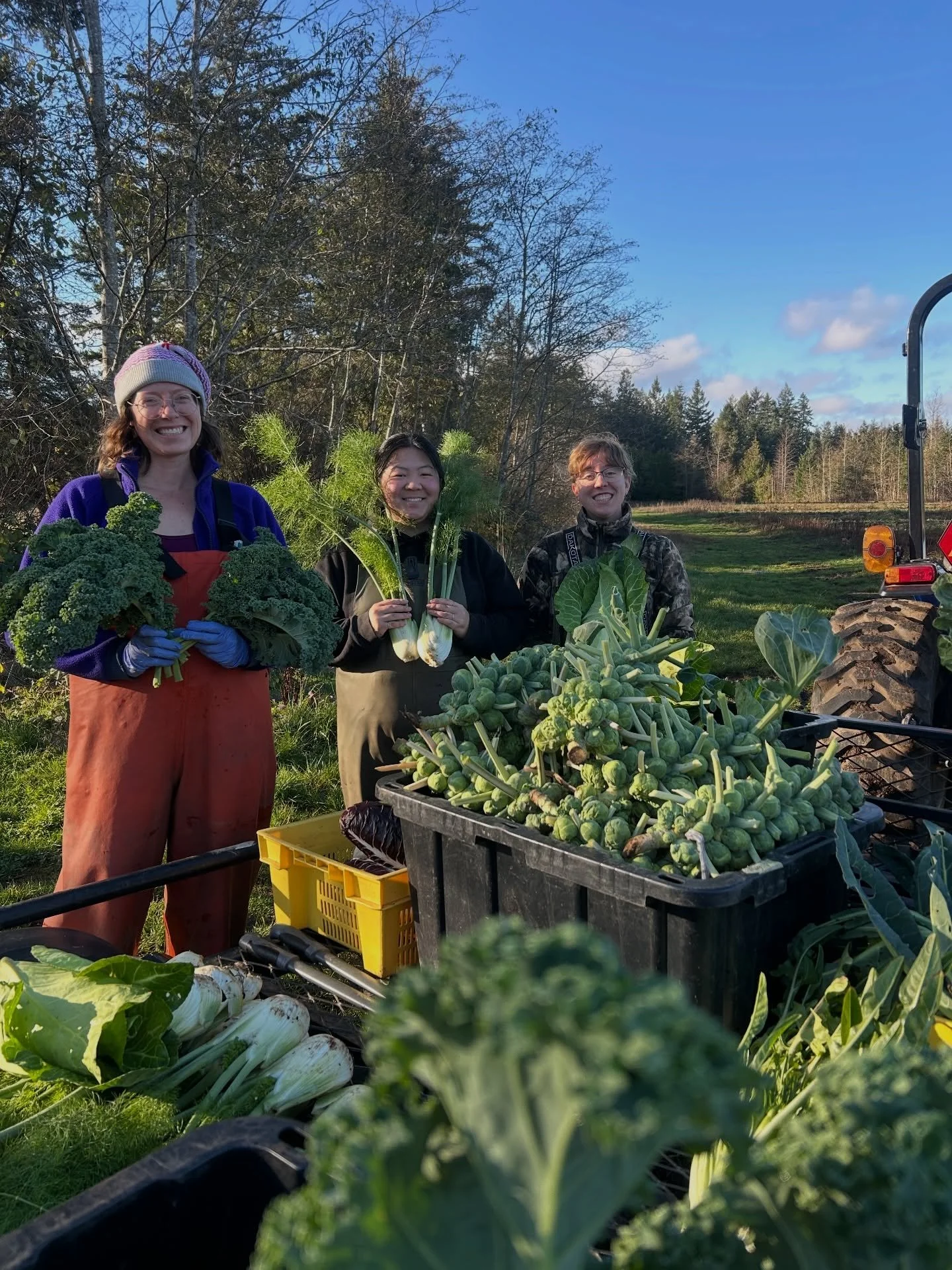 It&rsquo;s been a busy week on the farm as we&rsquo;ve been harvesting loads of veggies (thank you for the orders @dubois.food.co @springfordfarm @cheffanie_ca @loaf.oceanside and @lushvalleyfood) and working on everything pretty for our upcoming Win