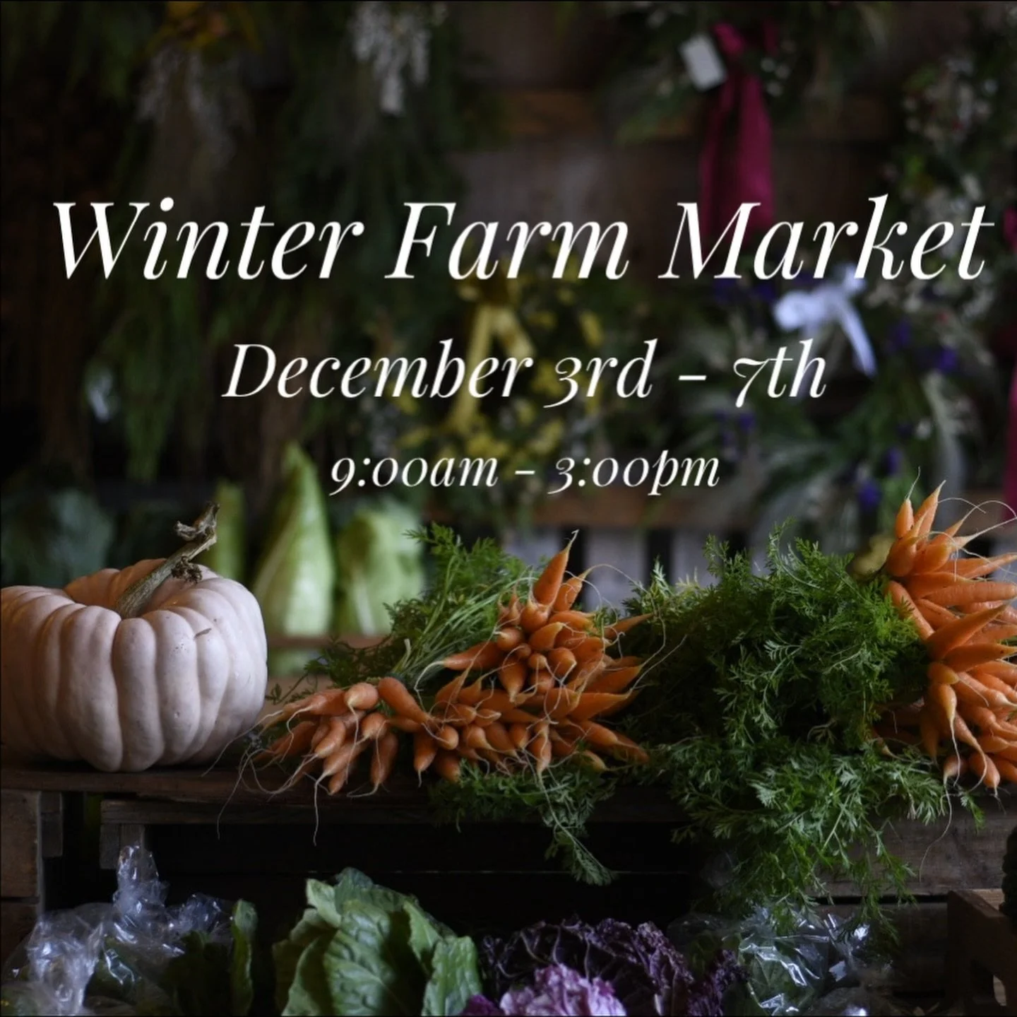 ❄️This event has truly become one of our favourites. Held the first week of December in our big barn. 

🌲Winter Farm Market
&bull;  December 3&ndash;7, from 9 AM&ndash;3 PM
&bull;  2276 Anderton Rd, Comox

Step into the holiday spirit with twinkly l