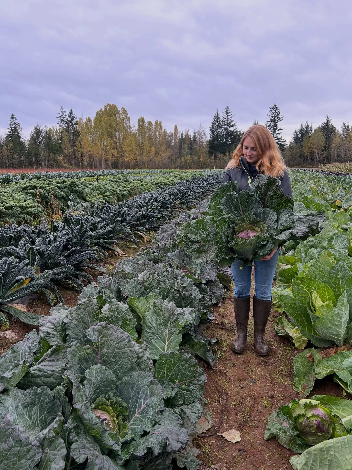 December 9th &ndash; Farm Update 

❄️ Winter Farm Market wrapped up last Sunday!

Yesterday, @lushvalleyfood picked up 85 bundles of kale, and we started taking down the barn decorations. We hope to move farm equipment back into the barn tomorrow.

T