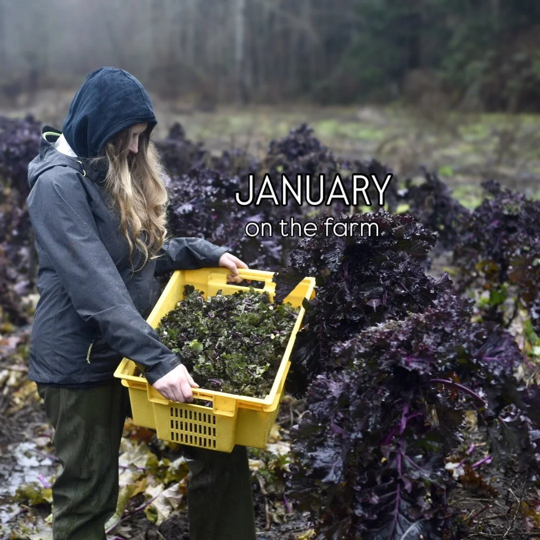 Local friends 👋 We won&rsquo;t be at the farmers market this month, but our farm stand will be open and well stocked all winter long.

We&rsquo;re incredibly lucky to be farming in the Comox Valley, where the winter climate makes it possible to grow