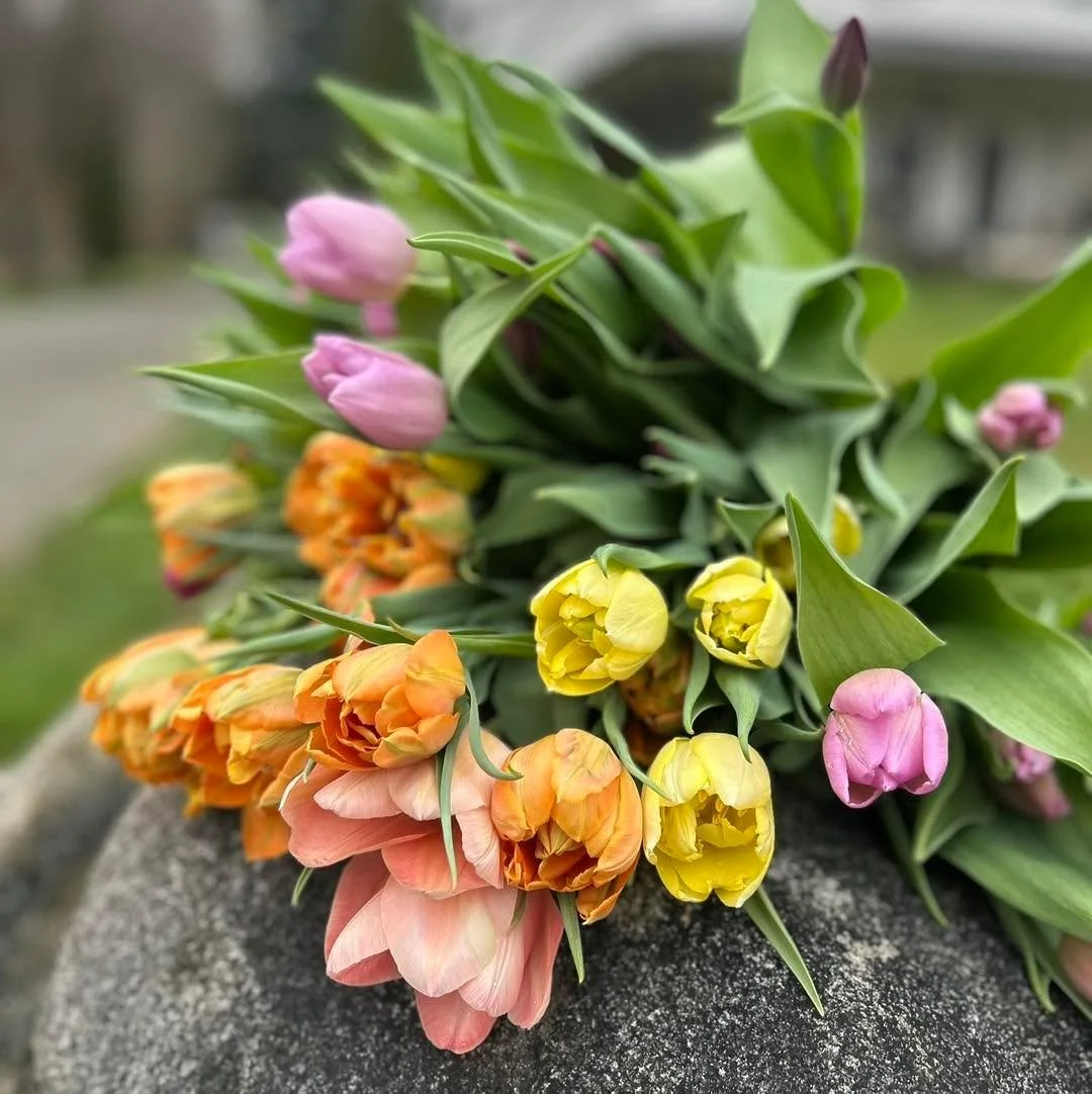 We&rsquo;re so happy to be back at the @comox_valley_farmers_market this Saturday! 

We&rsquo;re bringing a beautiful selection of early spring favourites:
	&bull;	Fresh arugula and spinach
	&bull;	Tender spring garlic
	&bull;	The first radishes of t