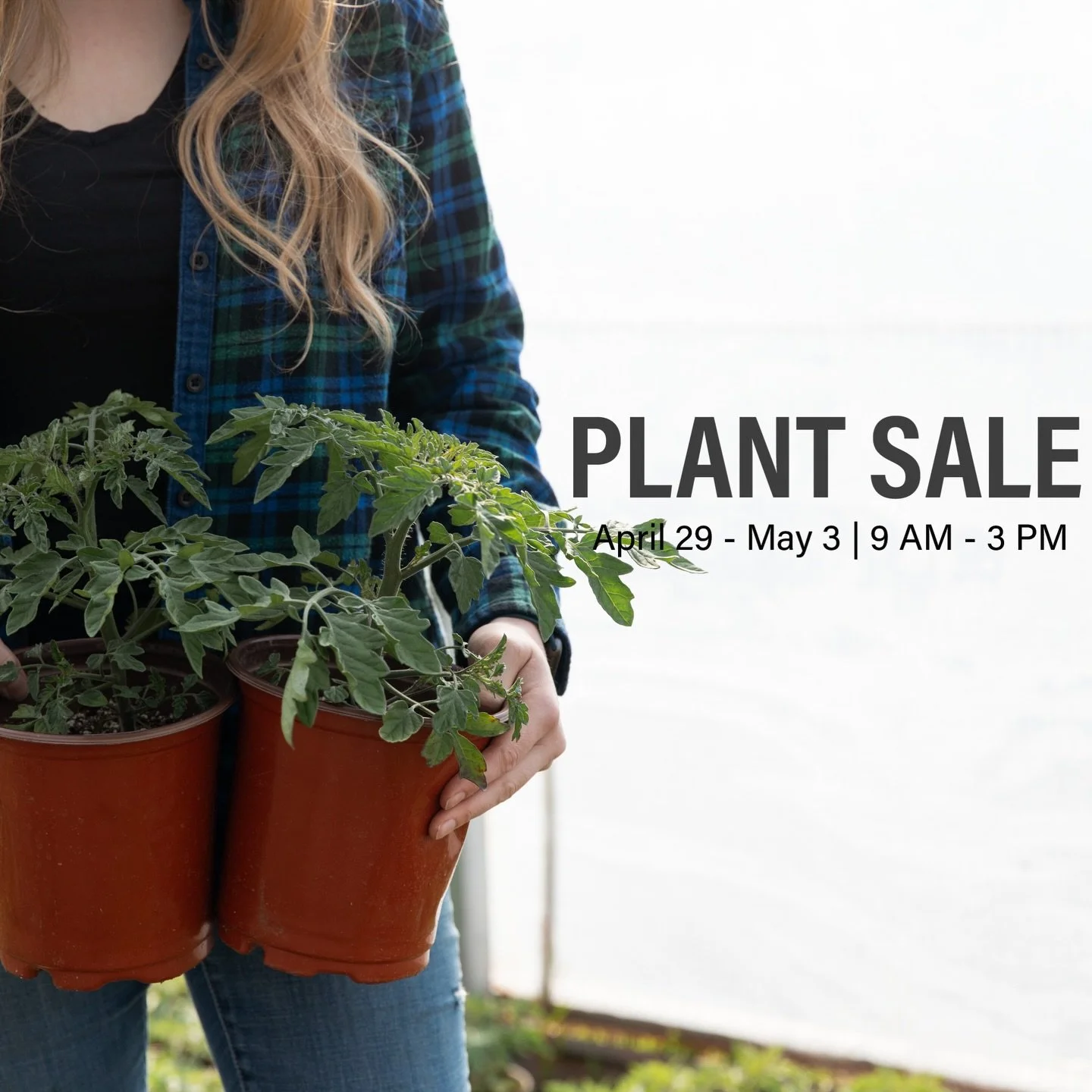 Get your gardens ready. 🌱Our Spring Plant Sale is just around the corner, and we&rsquo;re so excited to welcome you back to the farm!

April 29 &ndash; May 3 | 9:00 AM &ndash; 3:00 PM
2276 Anderton Road, Comox

🪴Join us for a great selection of pla