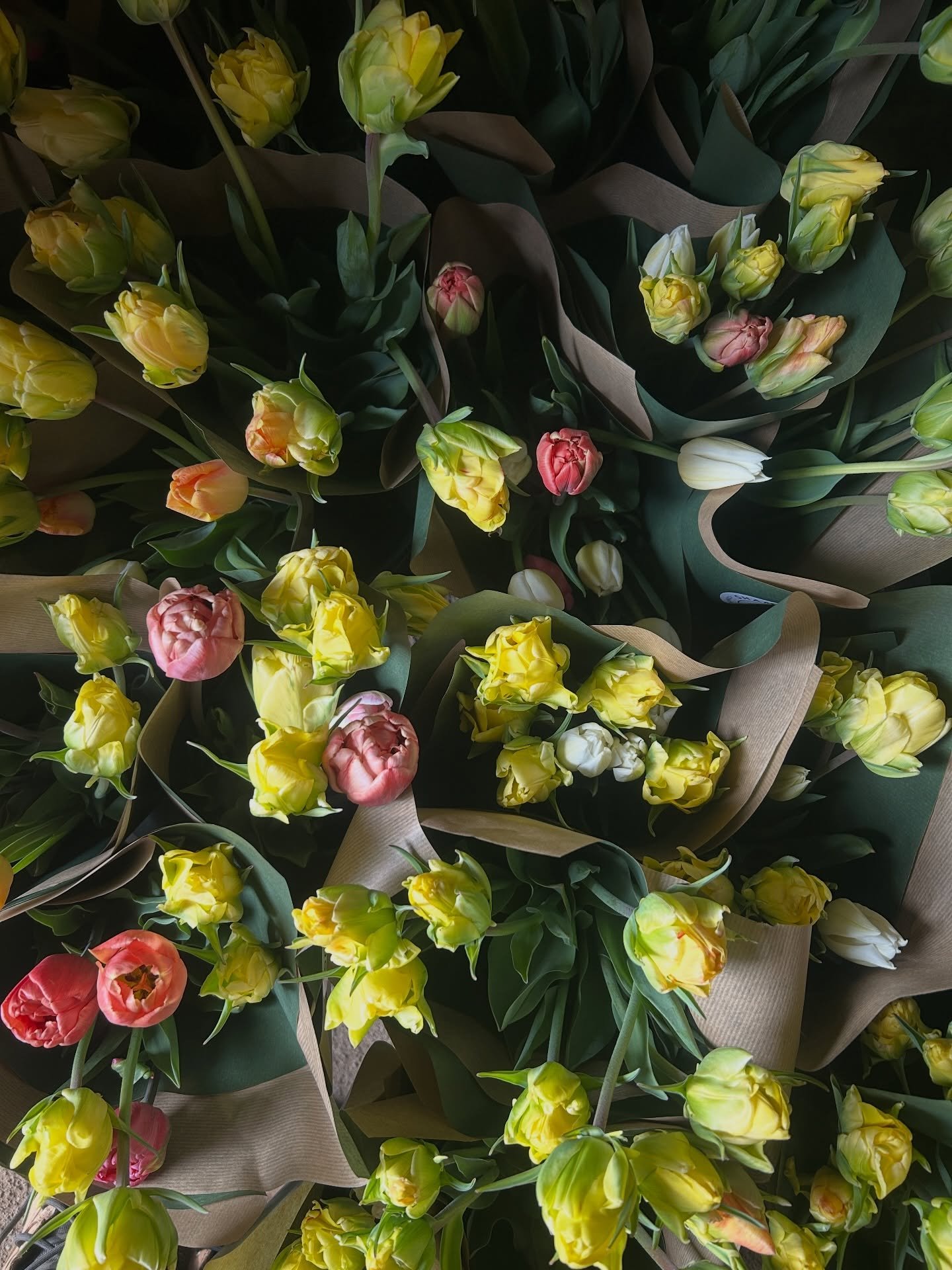 Friday Farm update 🌱

We had an amazing week with our team! Peas are in, along with radishes, turnips, more spinach, salad greens, and our third succession of carrots 🥕

We&rsquo;ve also been busy potting up tons of baby plants in preparation for o