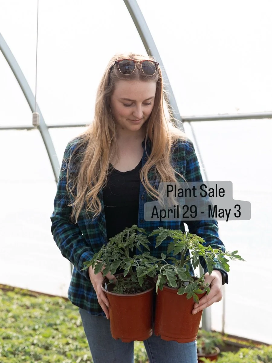 We&rsquo;re highlighting tomato varieties for our upcoming Plant Sale 🌱🍅
Today: medium salad slicers &mdash; perfect all-rounders for sandwiches, salads &amp; fresh eating.

🪴 Spring Plant Sale
📅 April 29 &ndash; May 3
⏰ 9&ndash;3
📍 Shamrock Far