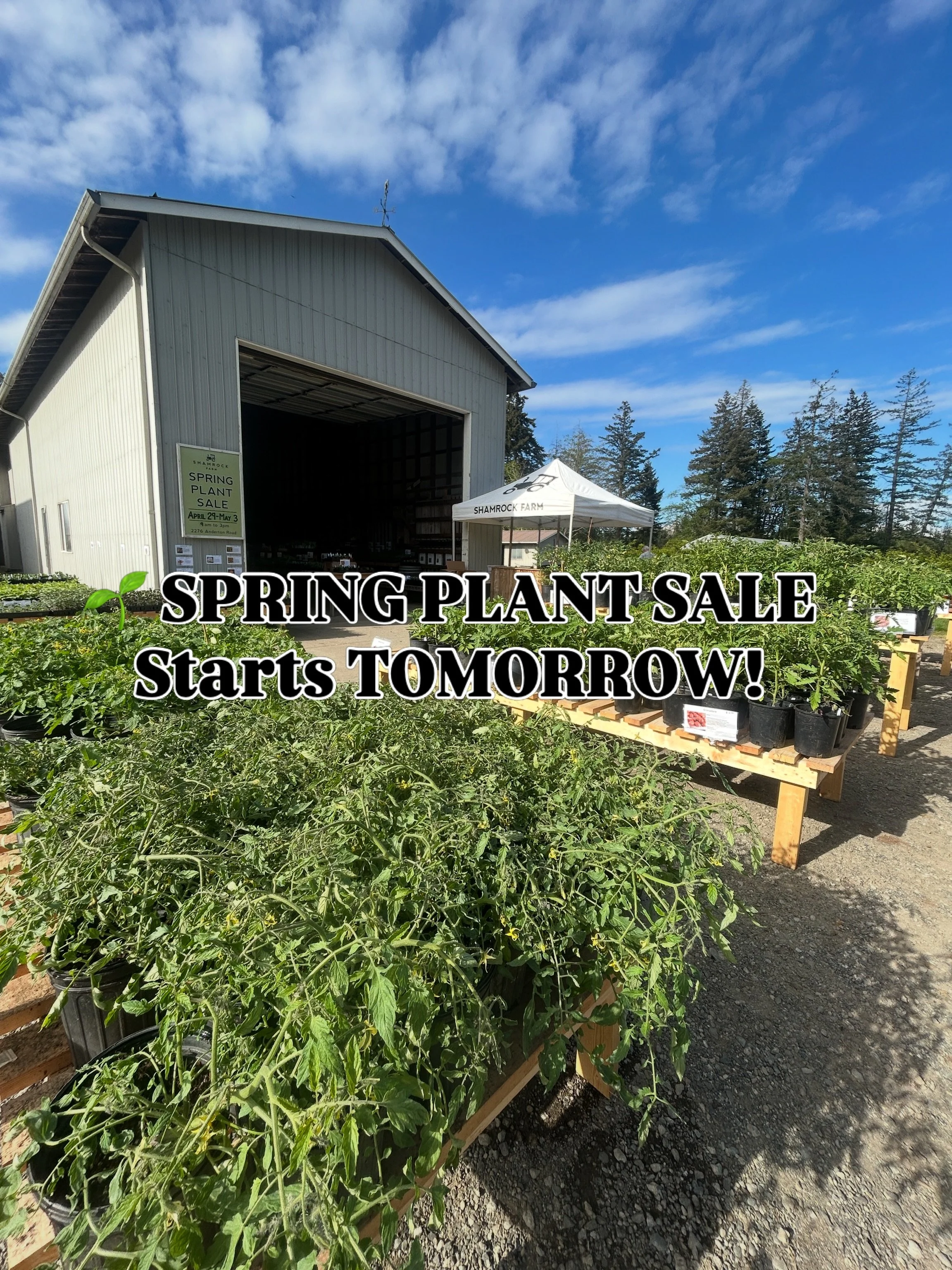 It&rsquo;s finally here, our Spring Plant Sale opens TOMORROW! ✨

We&rsquo;re all set up, the barn is full, and we&rsquo;re ready to welcome you for five beautiful days of plants, fresh air, and spring inspiration.

🪴Spring Plant Sale
🗓 April 29 &n