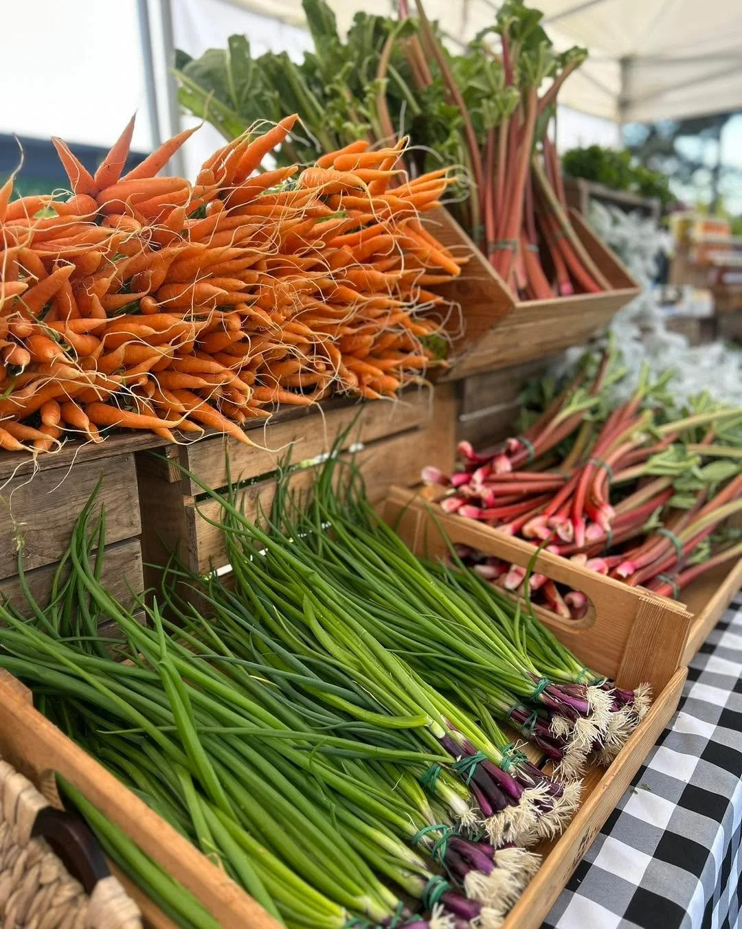 Campbell River, we&rsquo;re so excited to be back at the Farmers Market tomorrow. 💚 This community is near and dear to our hearts, and we always love getting the chance to return.

Find us at the @campbellriverfarmersmarket (Sunday 10-2) for fresh s