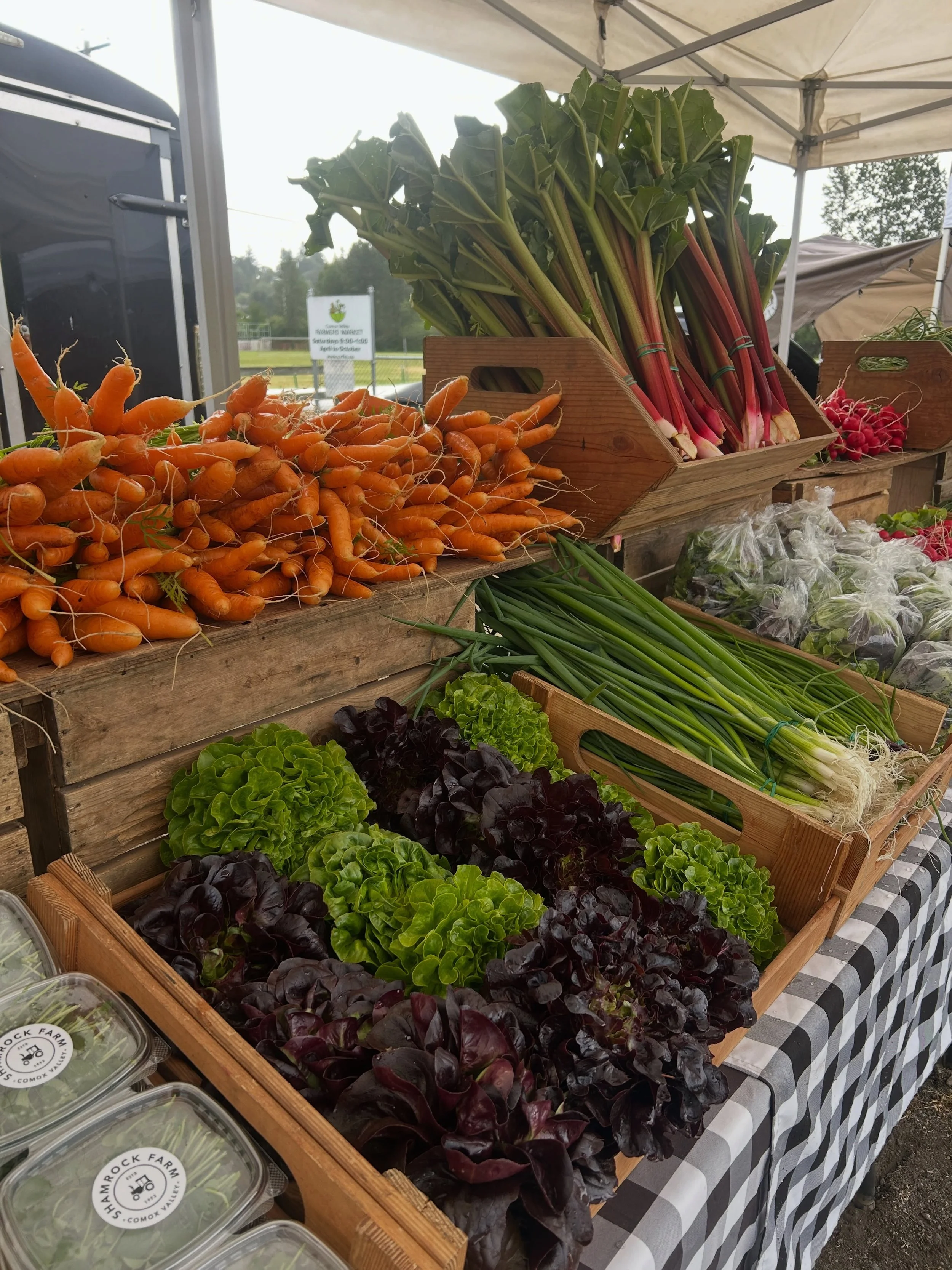 Farmers Market Day. We are all set up and ready. Have a wonderful weekend everyone! 

@comox_valley_farmers_market 9-1
Farmstand open Sat and Sun 10-5