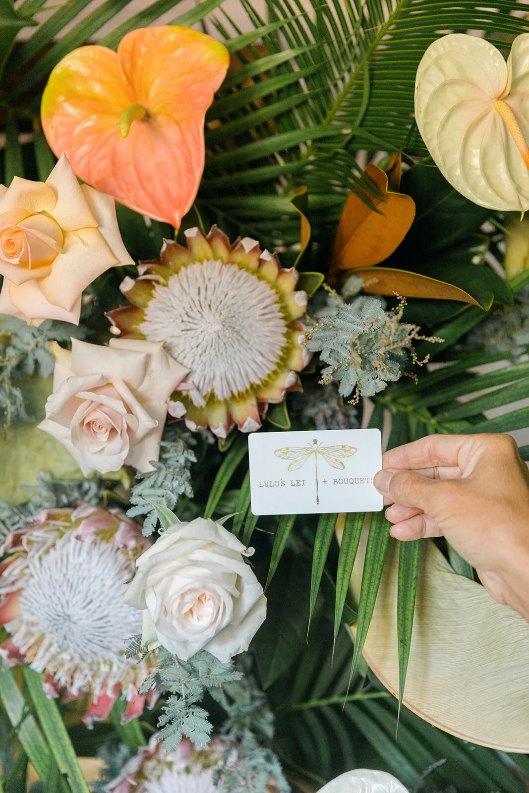 EDE0BD23-8710-454A-959B-A30F7607479C