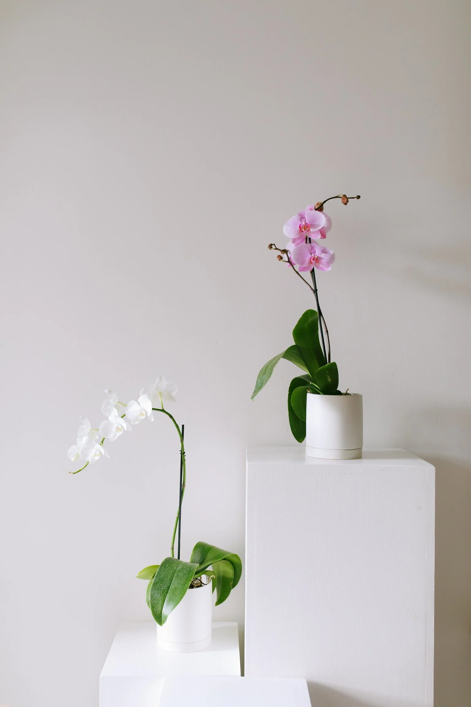 14DA47C9-F7F6-4D42-9D62-CBFB628FB78E