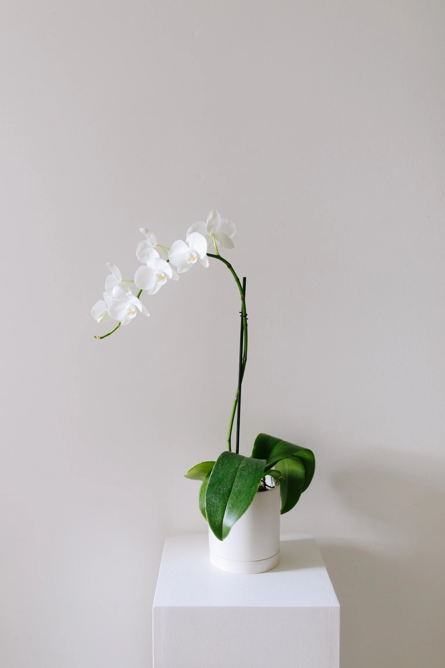 2884E6E2-54B3-4E35-A6E3-866765885056