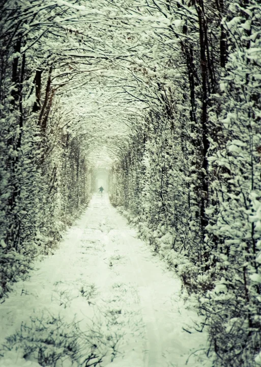 Best of Days Tunnel.jpg