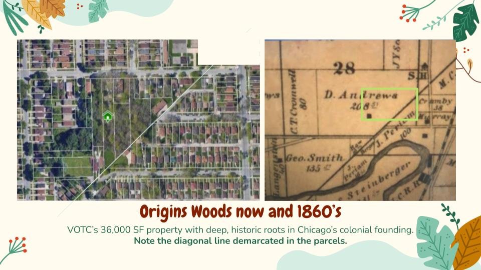 Origins Woods_ Art, Nature, Ancestry at Origin Woods 12_18_2024 (10).jpg
