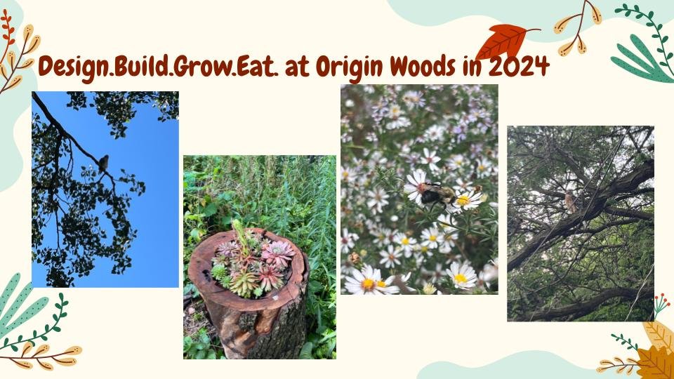Origins Woods_ Art, Nature, Ancestry at Origin Woods 12_18_2024 (7).jpg