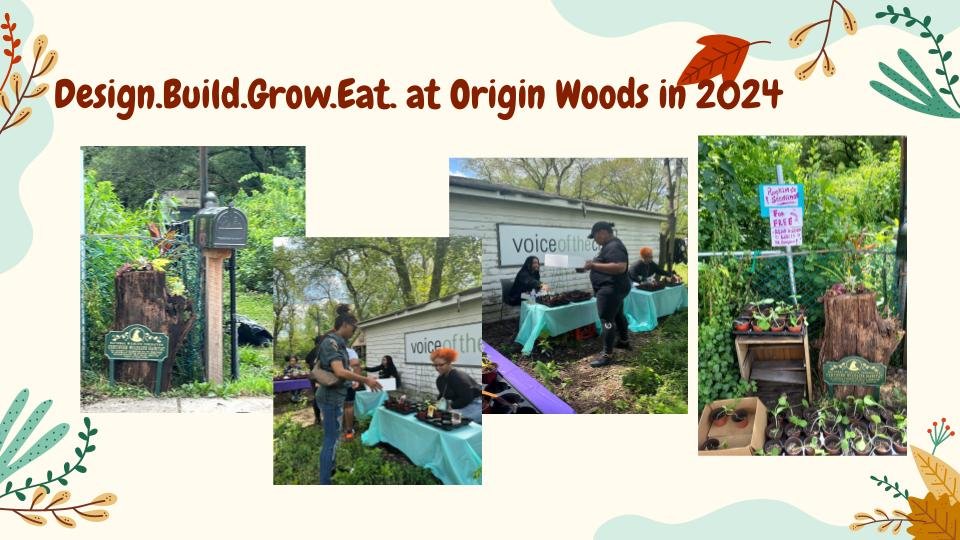 Origins Woods_ Art, Nature, Ancestry at Origin Woods 12_18_2024 (6).jpg