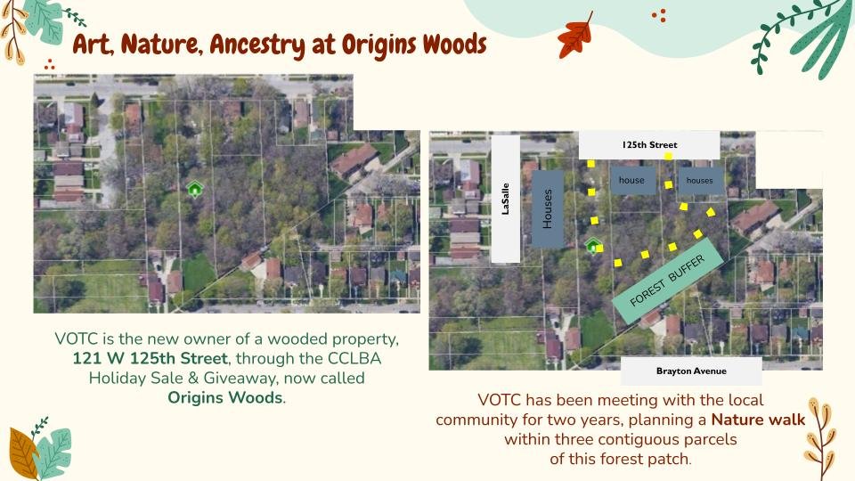 Origins Woods_ Art, Nature, Ancestry at Origin Woods 12_18_2024 (3).jpg