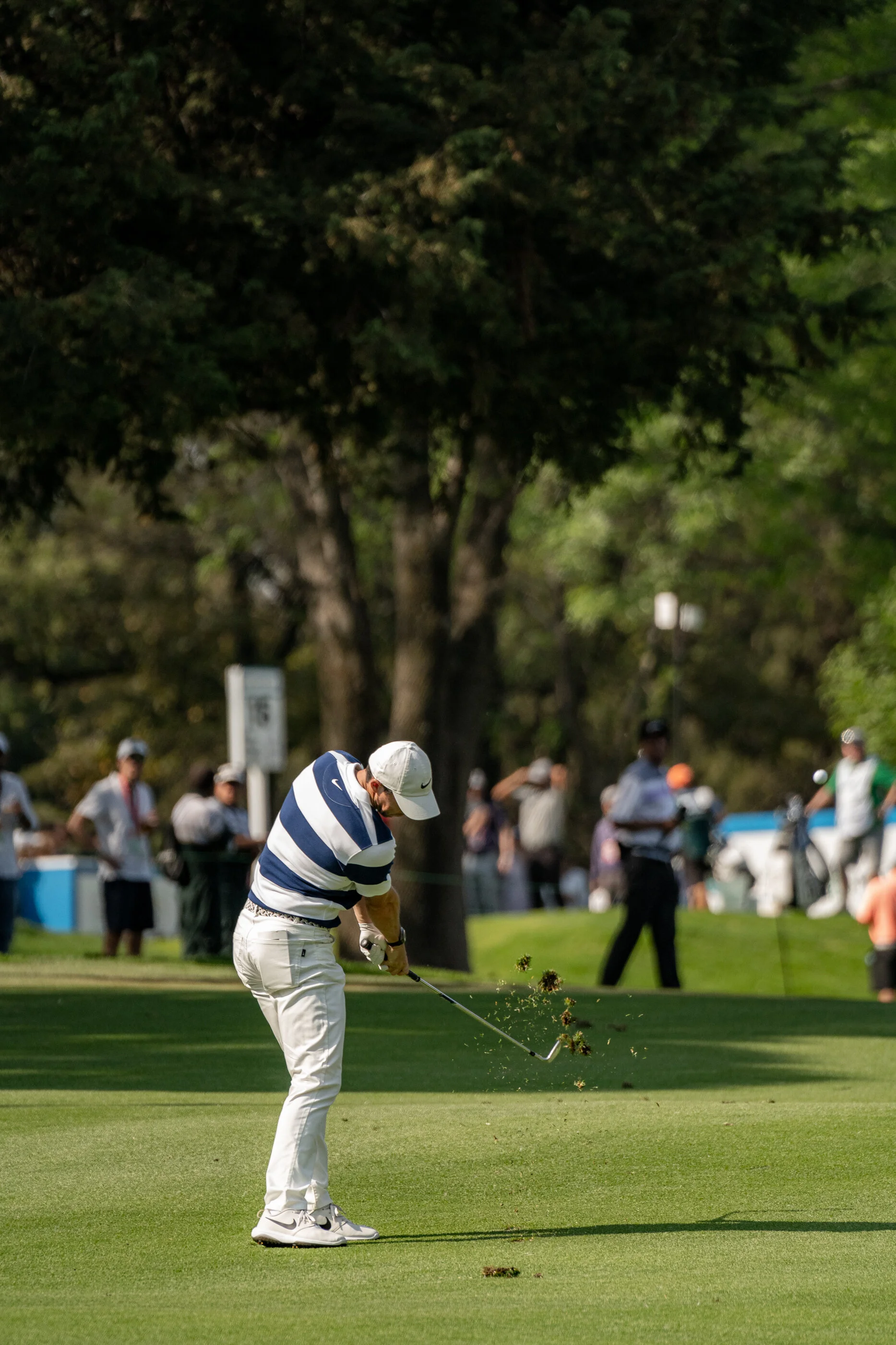 @vstr.xyz -wgc-1-073.jpg