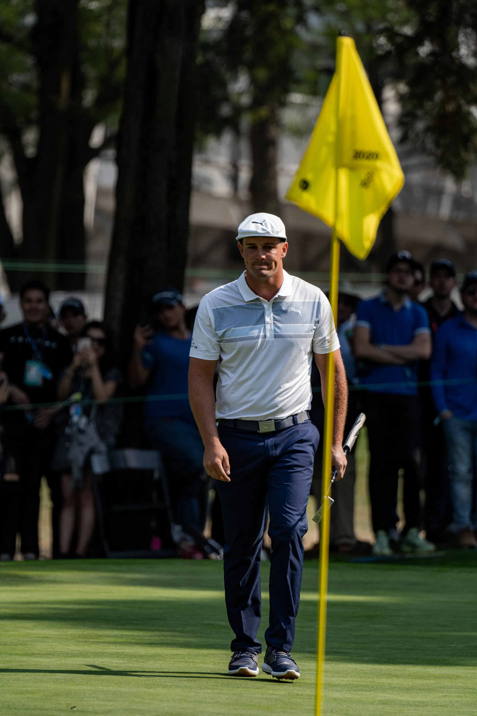 @vstr.xyz -wgc-2-001.jpg