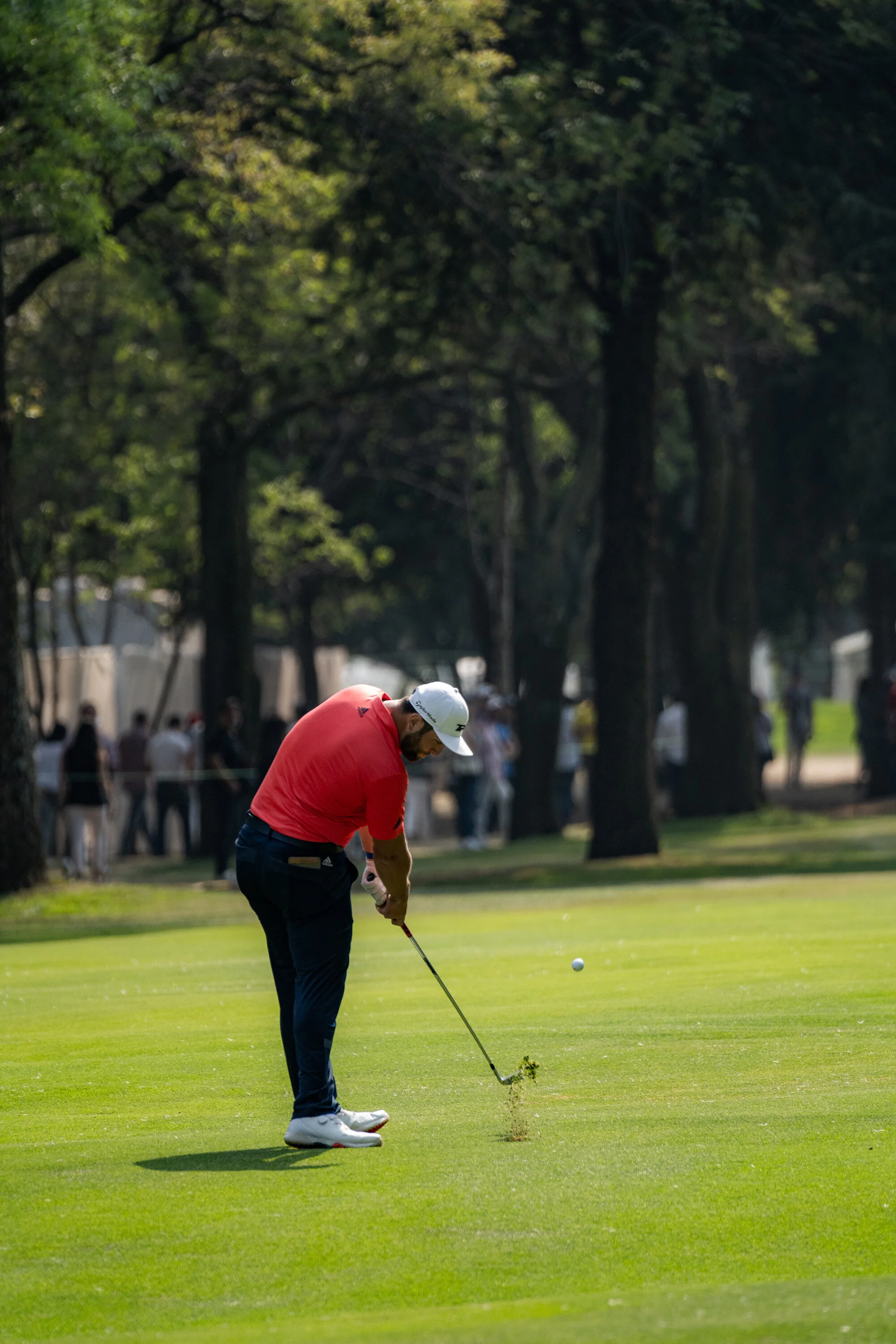 @vstr.xyz -wgc-2-006.jpg