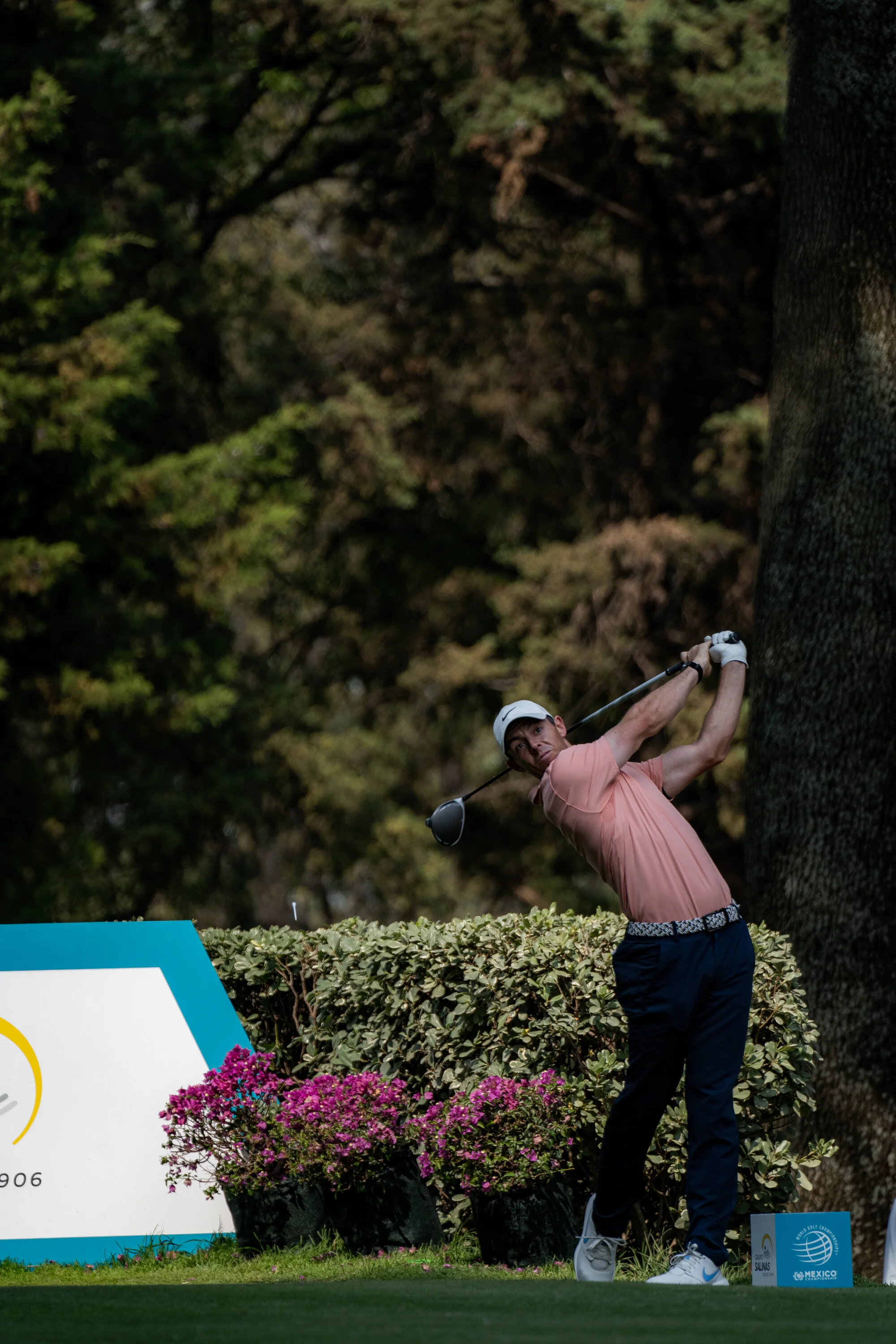 @vstr.xyz -wgc-2-014.jpg