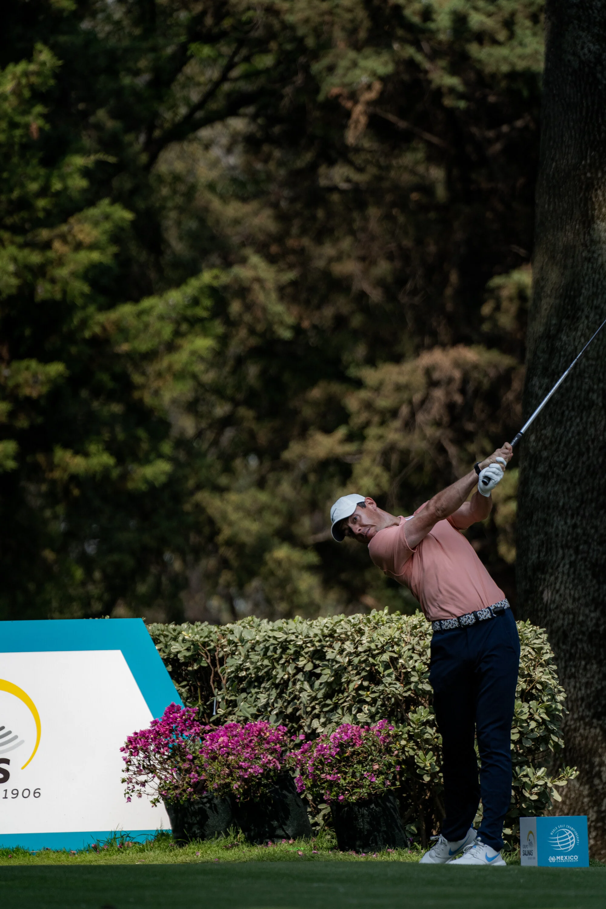 @vstr.xyz -wgc-2-015.jpg