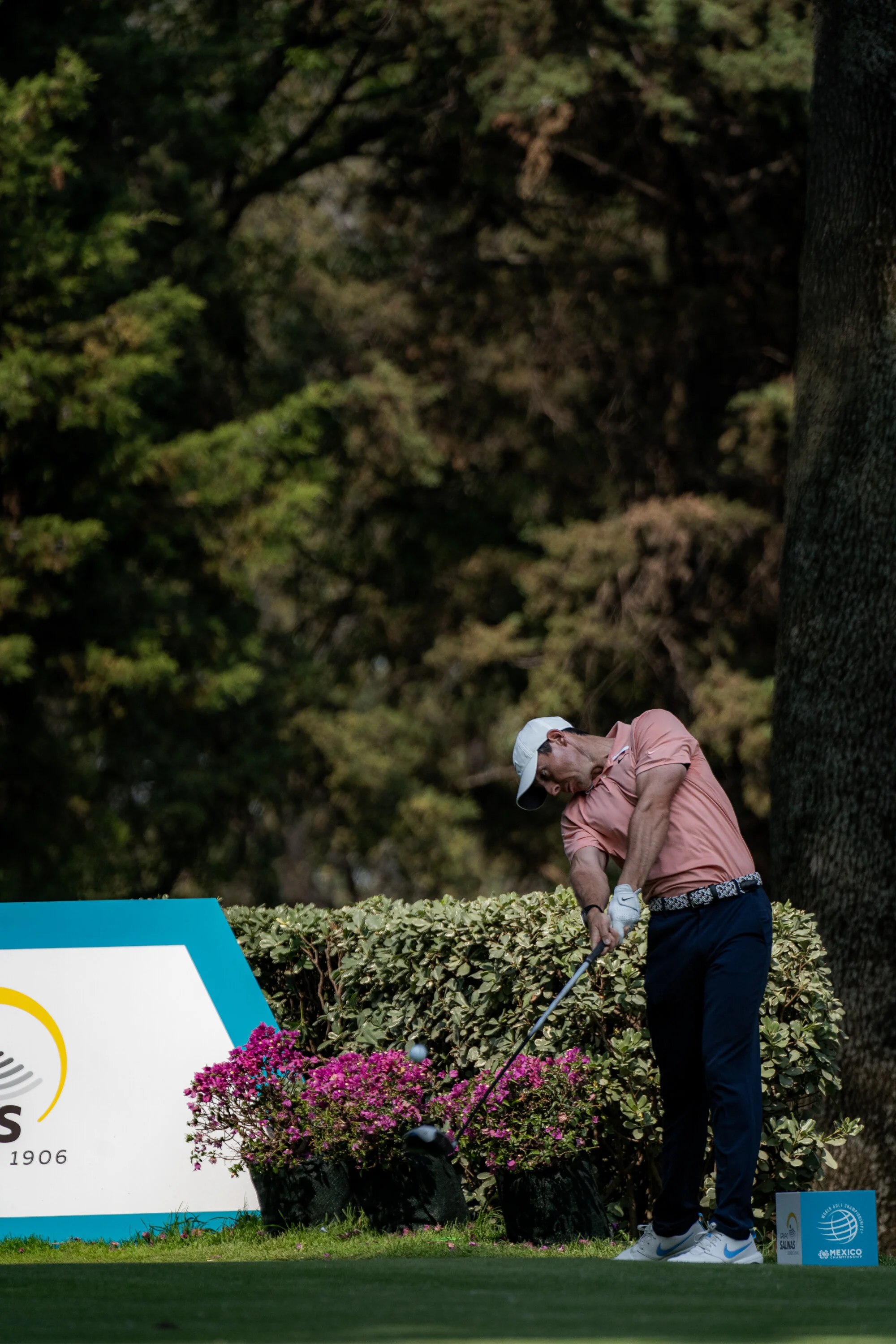 @vstr.xyz -wgc-2-016.jpg