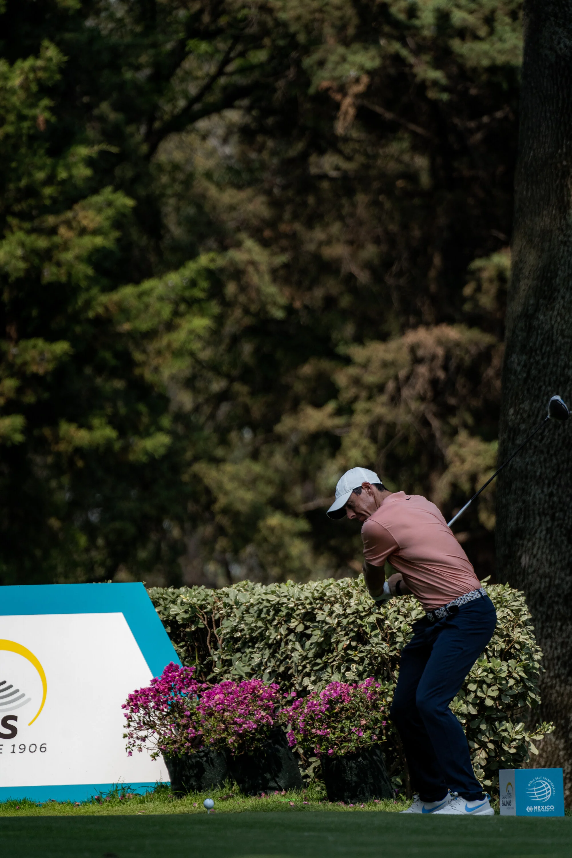 @vstr.xyz -wgc-2-017.jpg