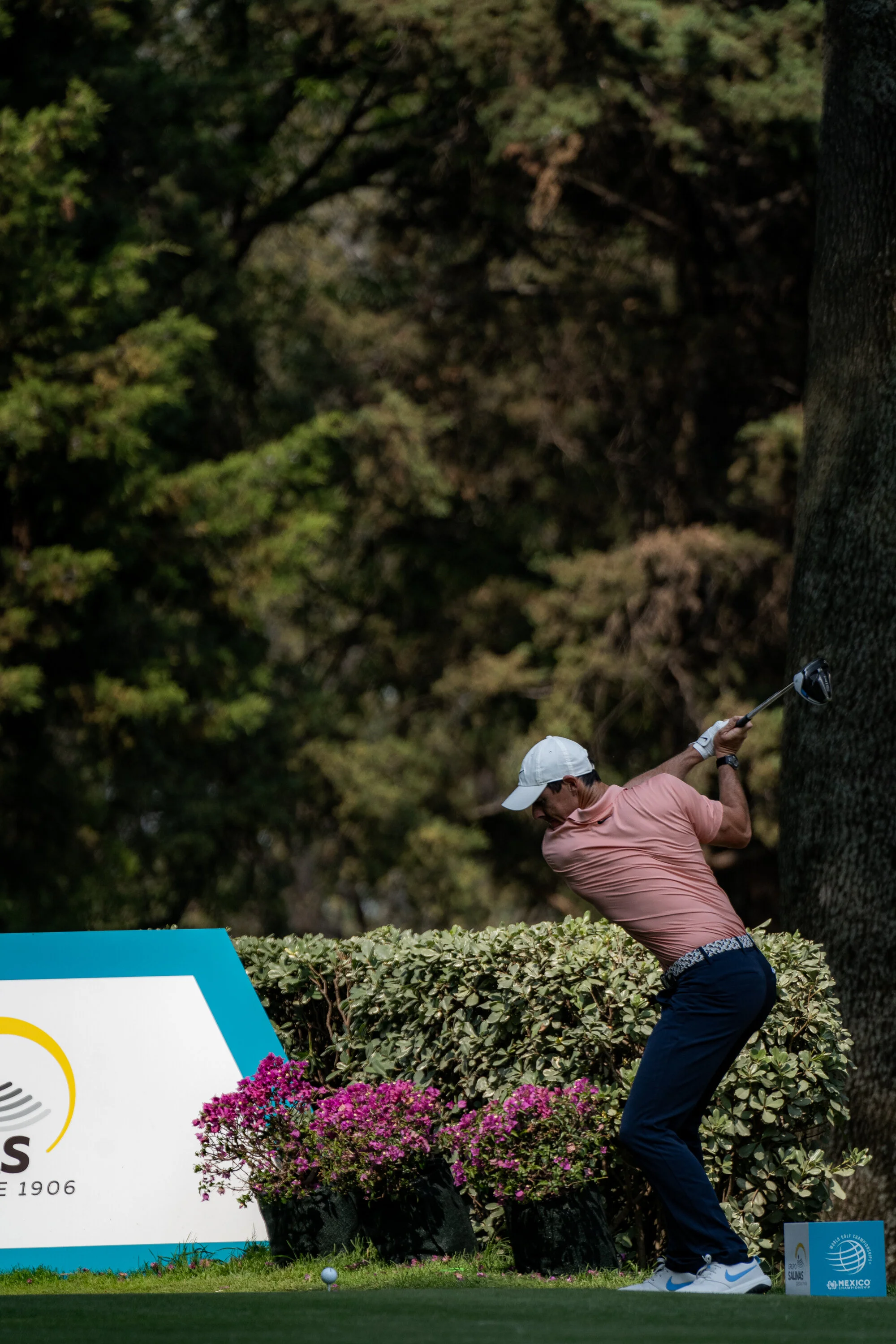 @vstr.xyz -wgc-2-018.jpg