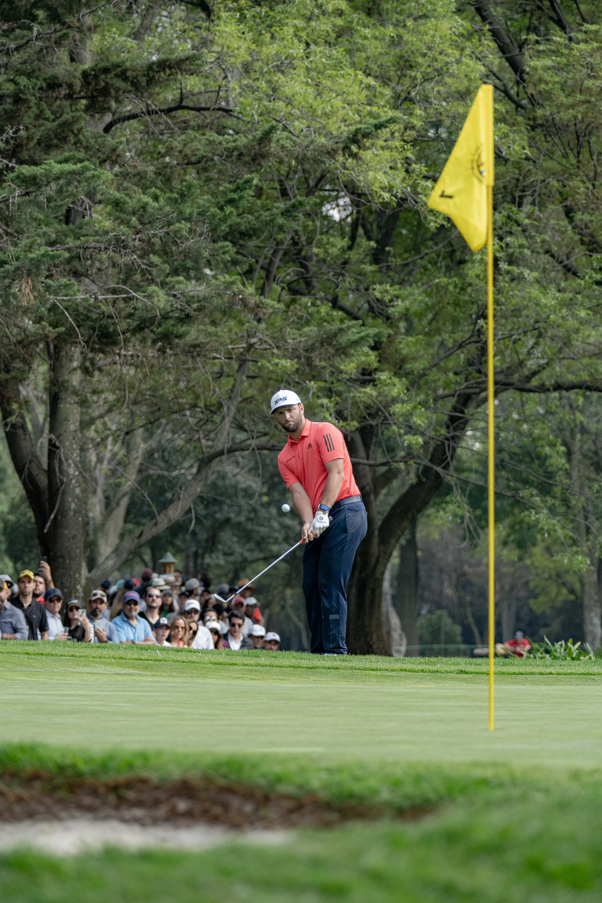 @vstr.xyz -wgc-2-030.jpg