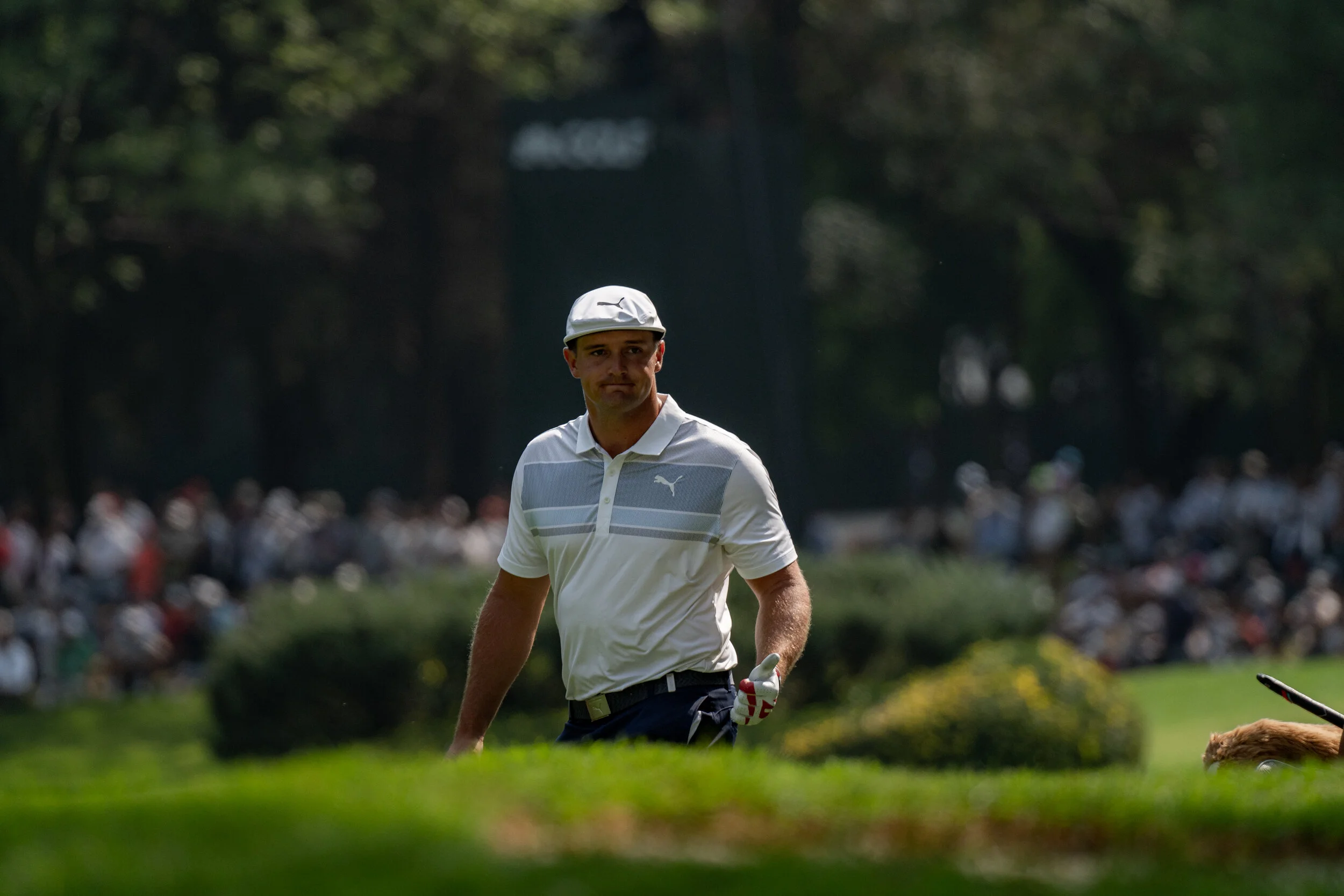 @vstr.xyz -wgc-2-031.jpg