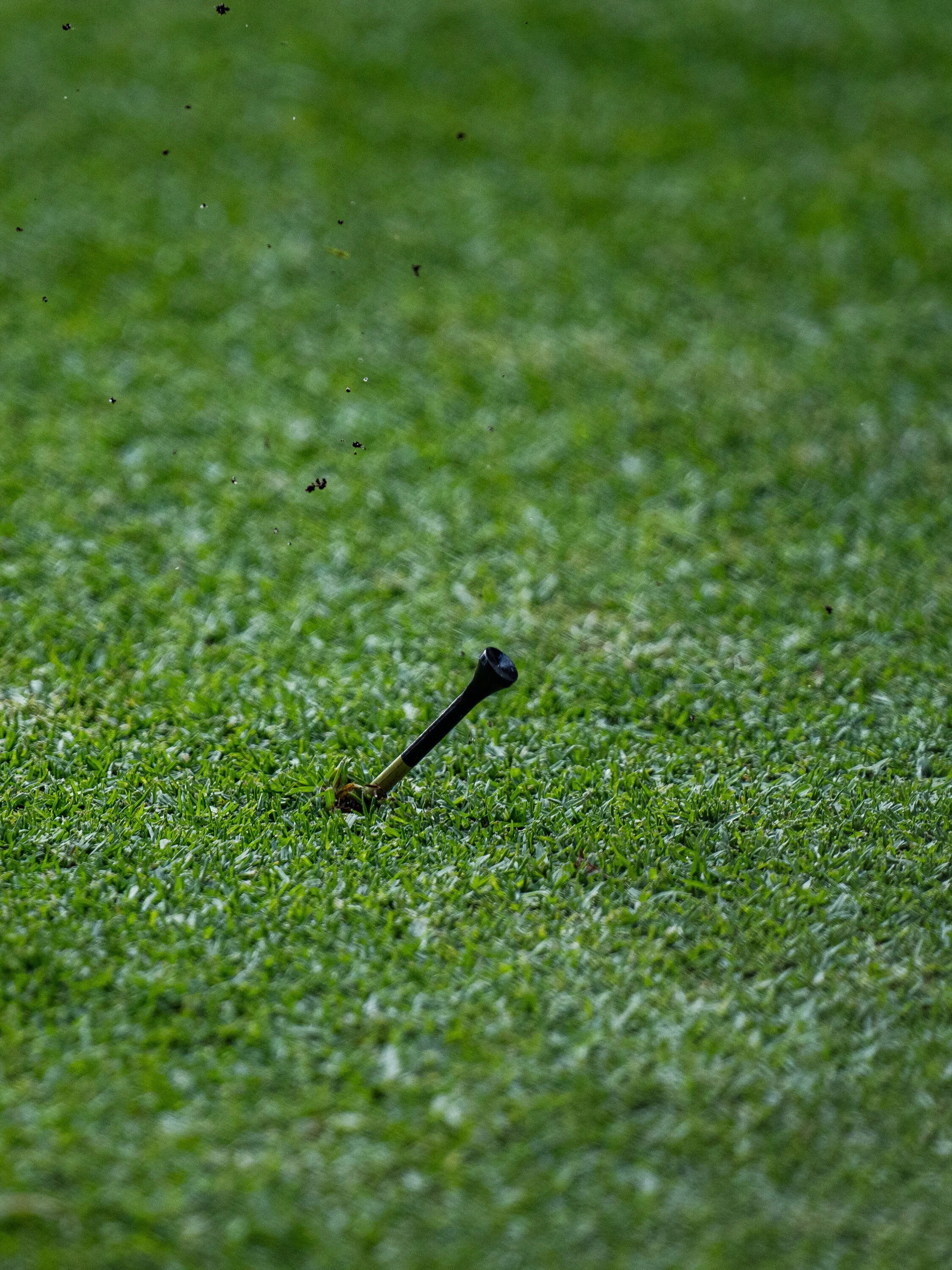 @vstr.xyz -wgc-2-034.jpg