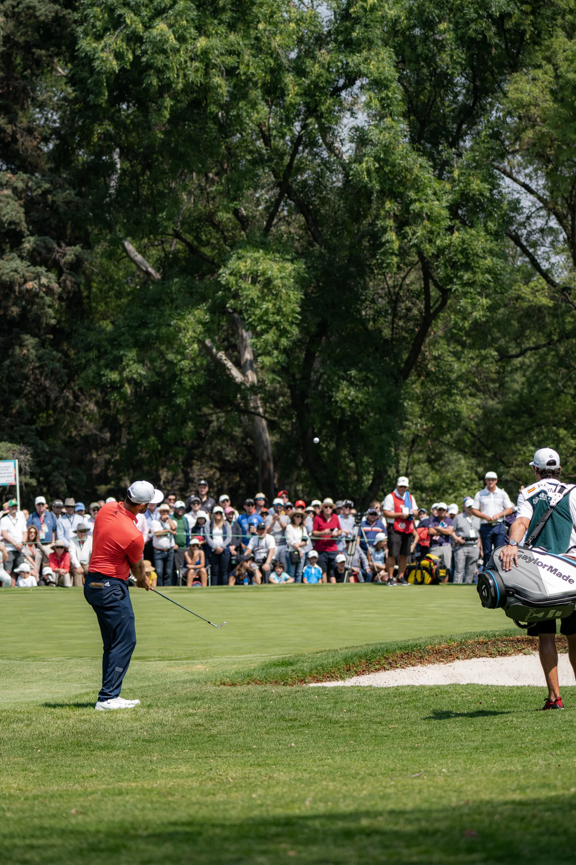 @vstr.xyz -wgc-2-055.jpg