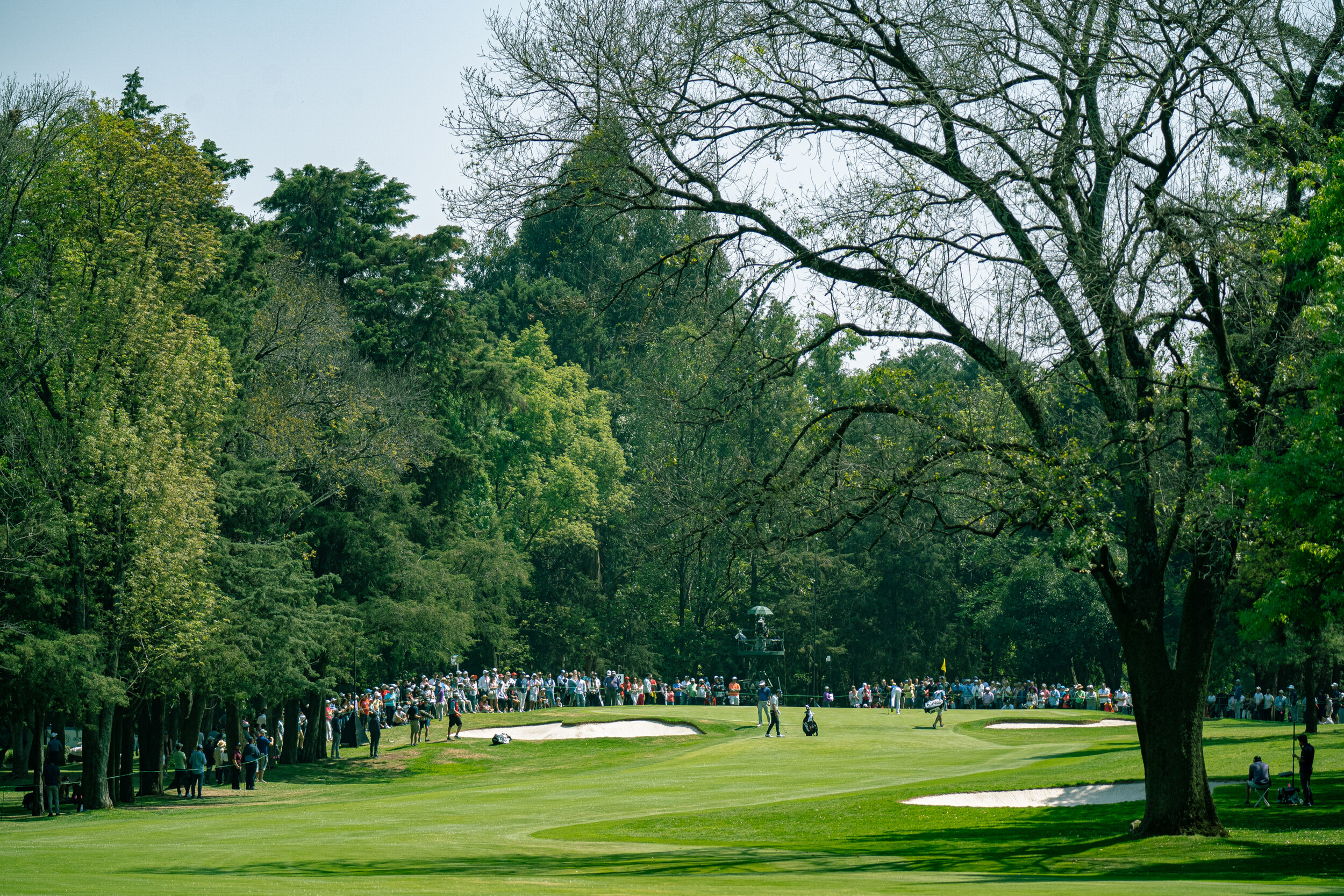 @vstr.xyz -wgc-2-102.jpg