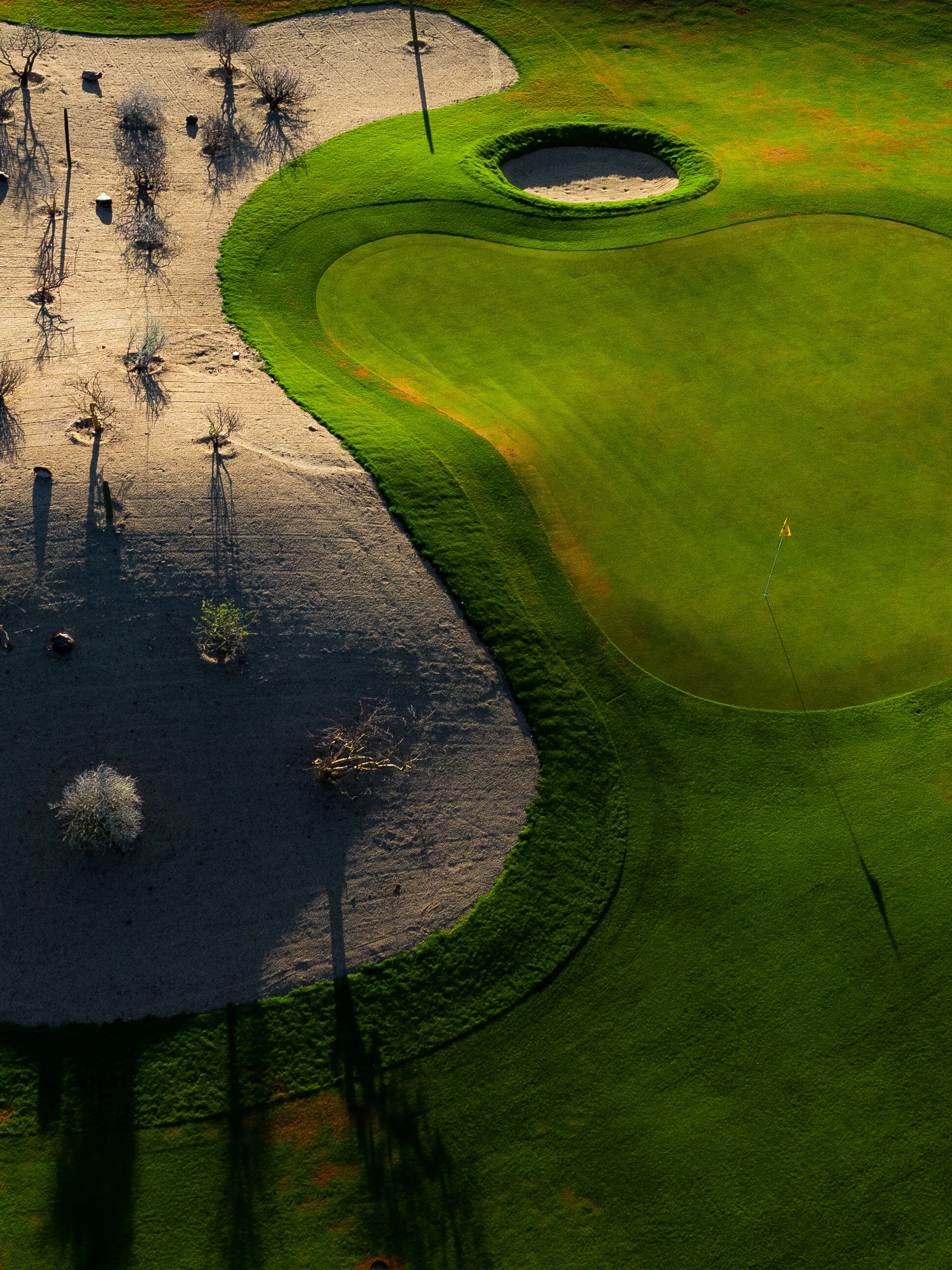 @vstr.xyz -PuertaCortes-11.jpg