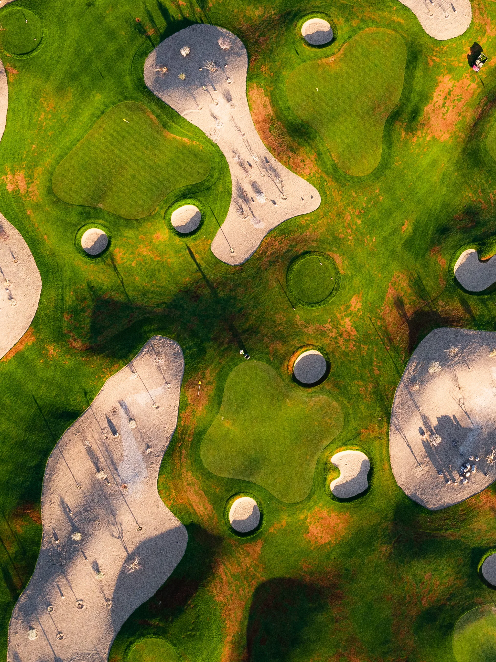 @vstr.xyz -PuertaCortes-15.jpg