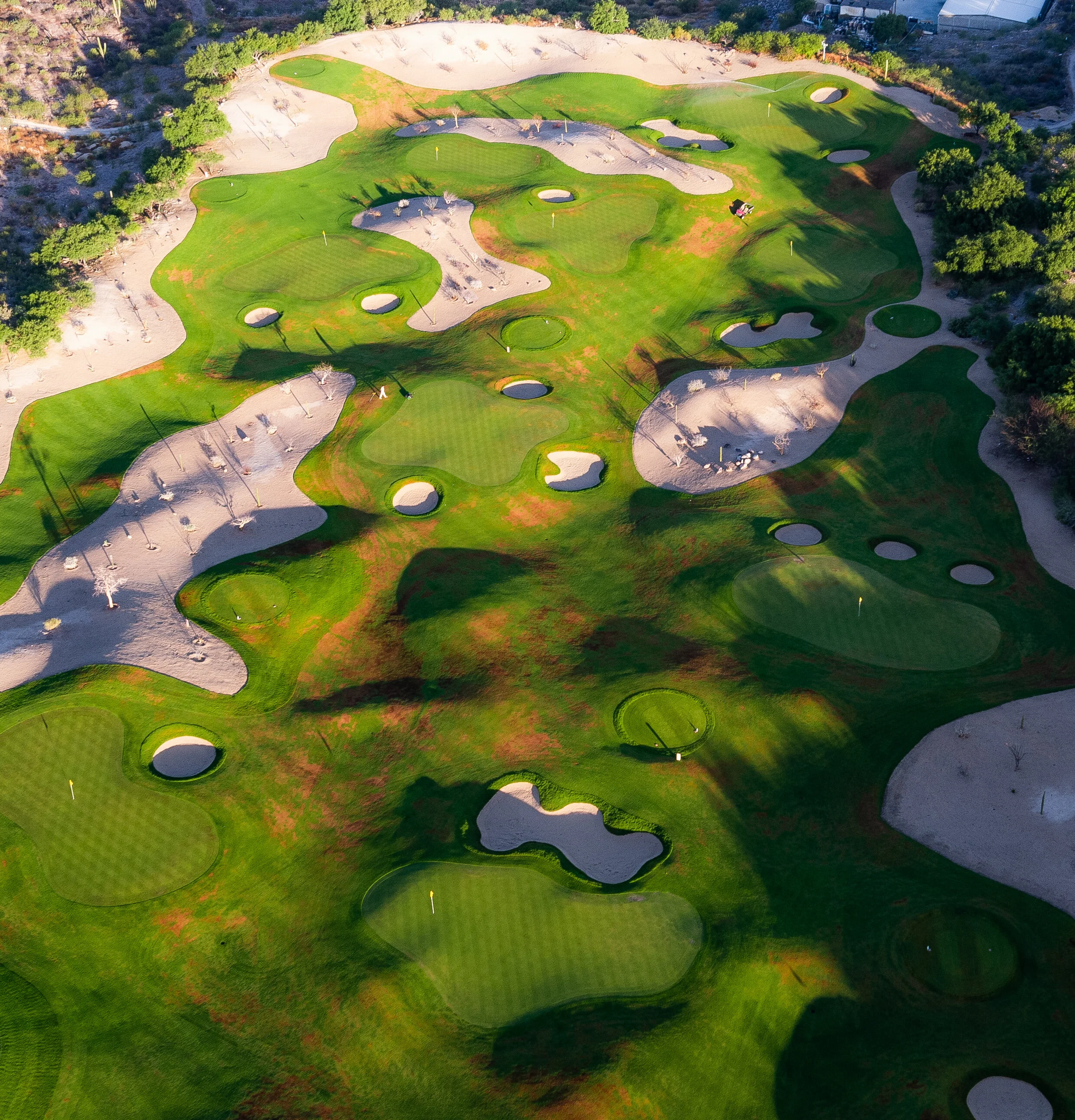 @vstr.xyz -PuertaCortes-26.jpg