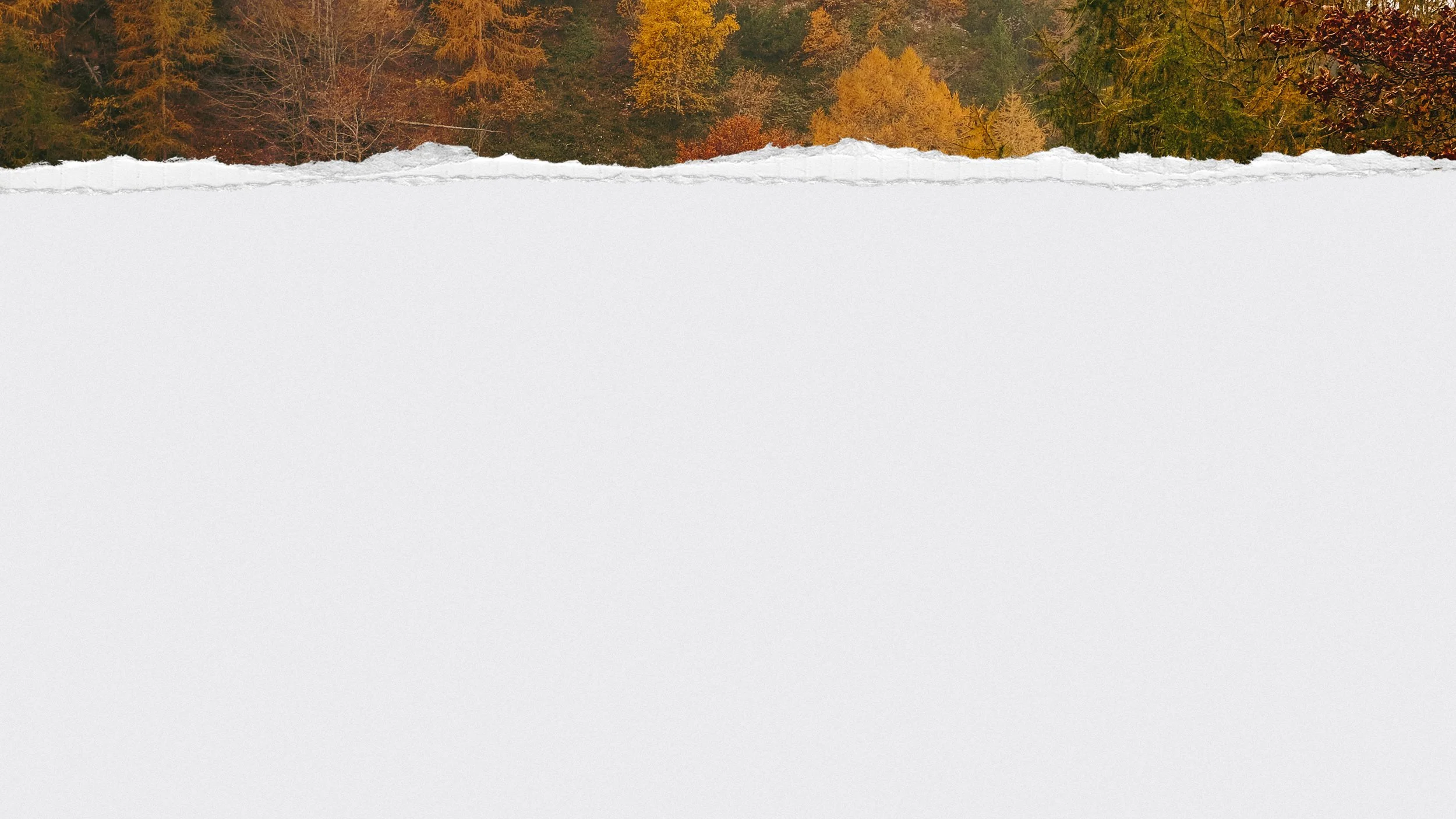 Fall Worship-Background.jpg