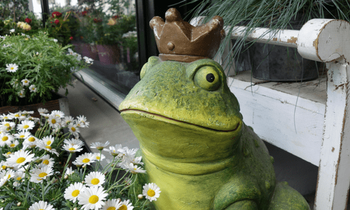Are you attracting frogs or princes-min.png
