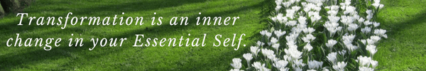 Transformation is an inner change in your Essential Self.