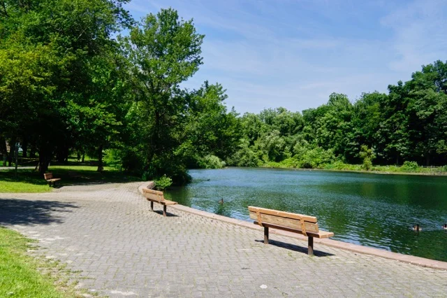 Macy Park