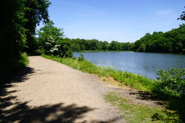Rockefeller Preserve