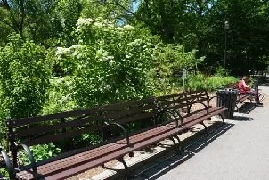 img10.jpg