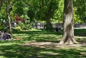 img11.jpg