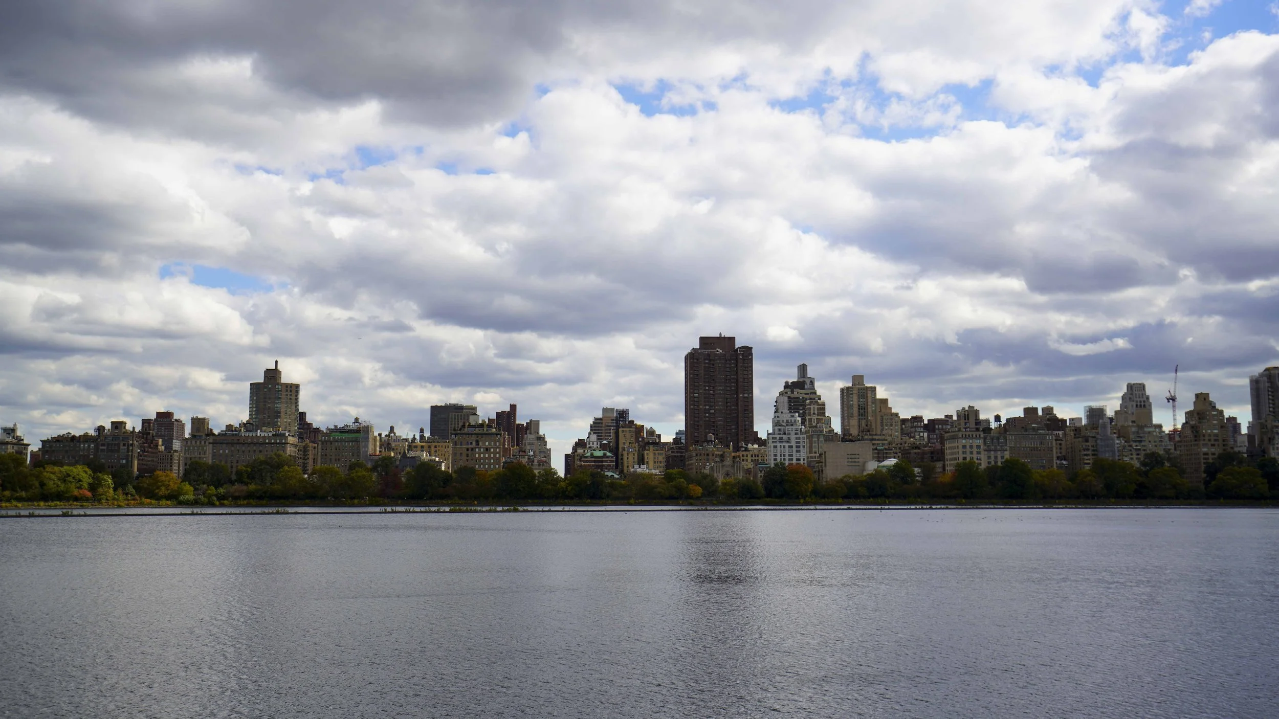NYC Park