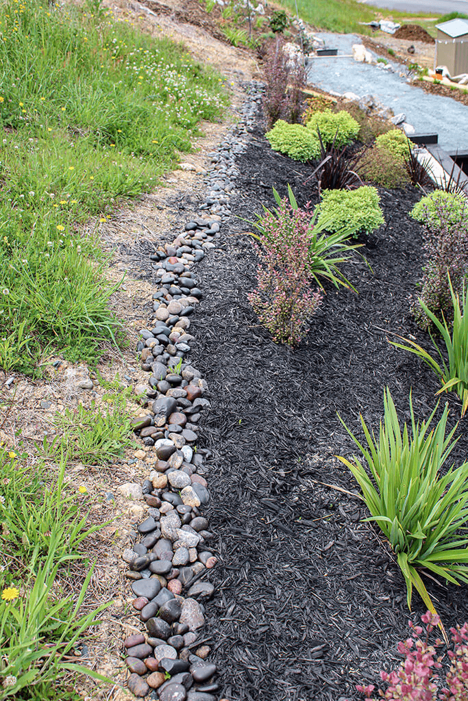 New Vision Landscapes - Tahunanui Hills (7).png
