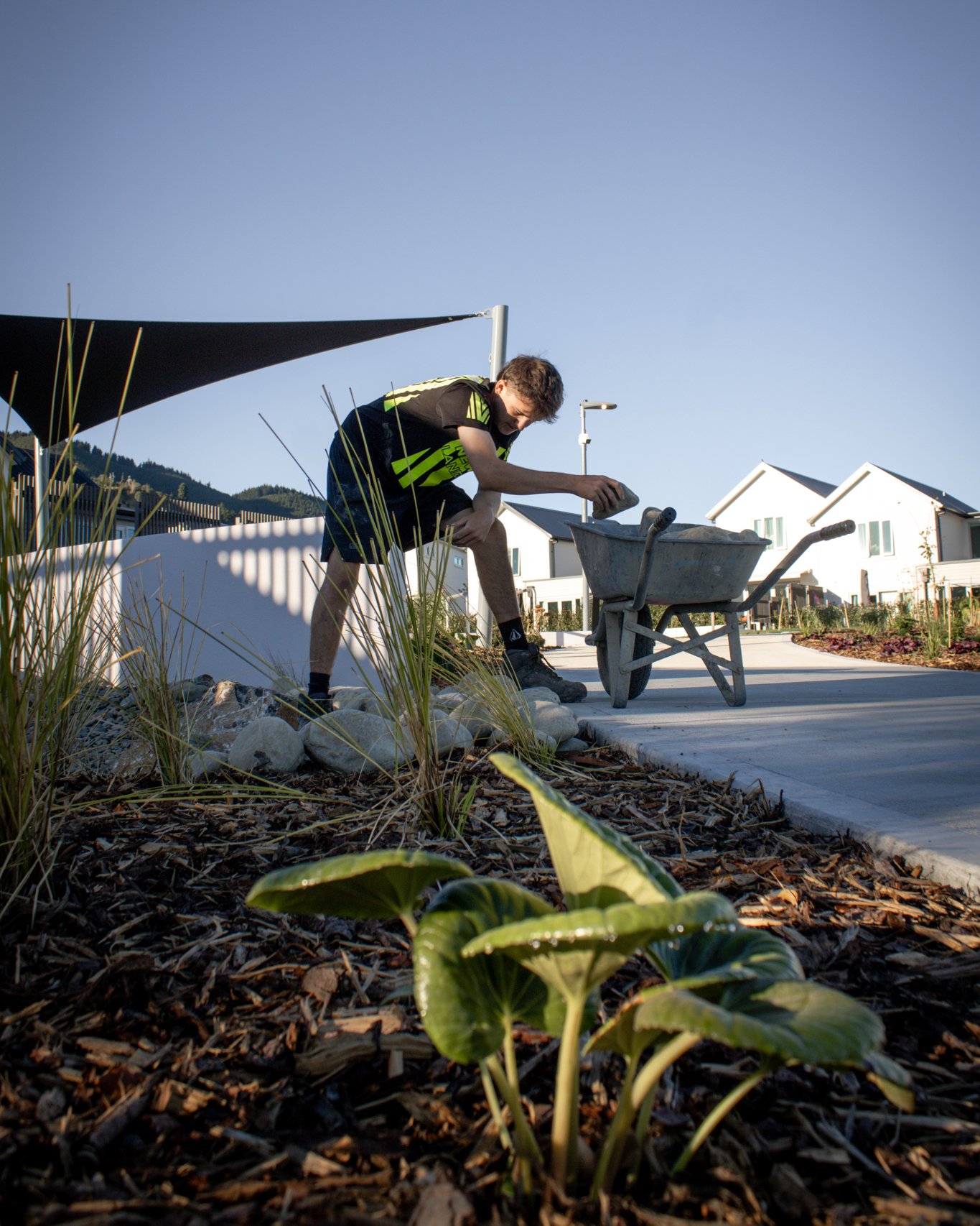 Tom and Isaiah placing rocks around a swale meandering through Central Park at Olive Estate Lifestyle Village. 🪨

#OELV #oliveestatelifestylevillage #newvisionlandscapes #nvl #nvp #nvpools #landscapearchitecture #landscapedesign #nvdesign #teamaweso